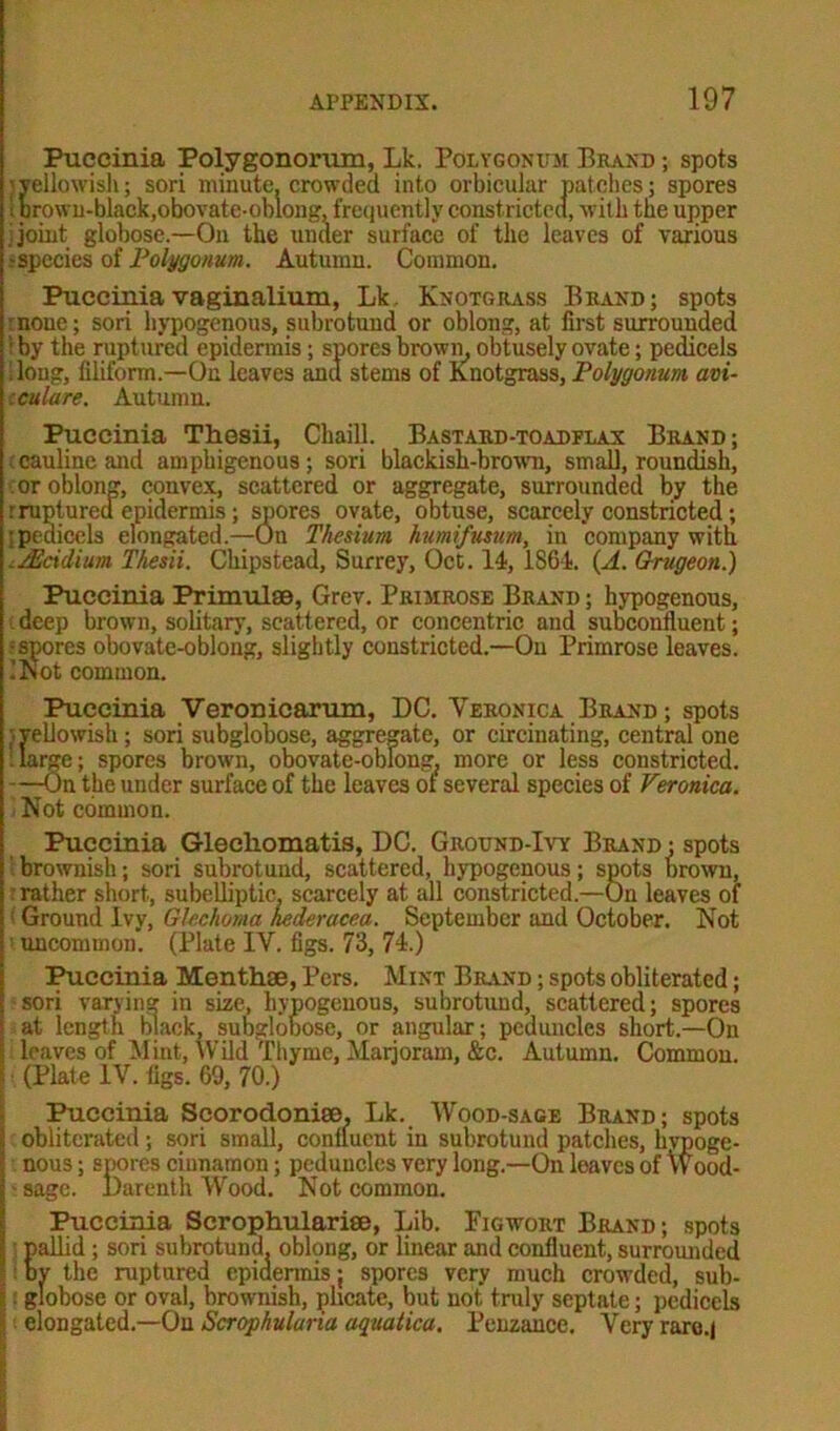Puccinia Polygonorum, Lk. Polygonum Brand ; spots j yellowish; sori minute, crowded into orbicular patches; spores : brown-black,obovate-oblong, frequently constricted, with the upper joint globose.—On the under surface of the leaves of various -species of Polygonum. Autumn. Common. Puccinia vaginalium, Lk, Knotgrass Brand; spots : noue; sori hypogenous, subrotund or oblong, at first surrounded 1 by the ruptured epidermis; spores brown, obtusely ovate; pedicels .long, filiform.—On leaves anu stems of Knotgrass, Polygonum avi- :culare. Autumn. Puccinia Thesii, Chaill. Bastard-toadflax Brand; cauline and amphigenous; sori blackish-brown, small, roundish, or oblong, convex, scattered or aggregate, surrounded by the r ruptured epidermis ; spores ovate, obtuse, scarcely constricted; •pedicels elongated.—On Thesium humifusum, in company with JEcidium Thesii. Chipstead, Surrey, Oct. 14, 1864. (A. Grugeon.) Puccinia Primulas, Grev. Primrose Brand ; hypogenous, deep brown, solitary, scattered, or concentric and subconfluent; ;spores obovate-oblong, slightly constricted.—On Primrose leaves. ’Not common. Puccinia Veronicarum, DC. Veronica Brand ; spots ; yellowish; sori subglobose, aggregate, or circulating, central one ilarge; spores brown, obovate-oblong, more or less constricted. —-On the under surface of the leaves ot several species of Veronica. Not common. Puccinia Glecliomatis, DC. Ground-Ivy Brand ; spots brownish; sori subrotund, scattered, hypogenous; spots Drown, rather short, subelliptic. scarcely at all constricted.—On leaves of Ground Ivy, G/echoma hederacea. September and October. Not ! uncommon. (Plate IV. figs. 73, 74.) Puccinia Menthae, Pcrs. Mint Brand ; spots obliterated; sori varying in size, hypogenous, subrotund, scattered; spores at length black, subglobose, or angular; peduncles short.—On leaves of Mint, Wild Thyme, Marjoram, &c. Autumn. Common. (Plate IV. figs. 69, 70.) Puccinia Scorodonise. Lk. Wood-sage Brand; spots obliterated ; sori small, confluent in subrotund patches, hvpoge- nous; spores cinnamon; peduncles very long.—On leaves of Wood- - sage. Darenth Wood. Not common. Puccinia Scrophularise, Lib. Figwort Brand; spots pallid; sori subrotund, oblong, or linear and confluent, surrounded ov the ruptured epidermis; spores very much crowded, sub- globose or oval, brownish, plicate, but not truly septate; pedicels elongated.—On Scrophularia aquatica. Penzance. Very rare.j