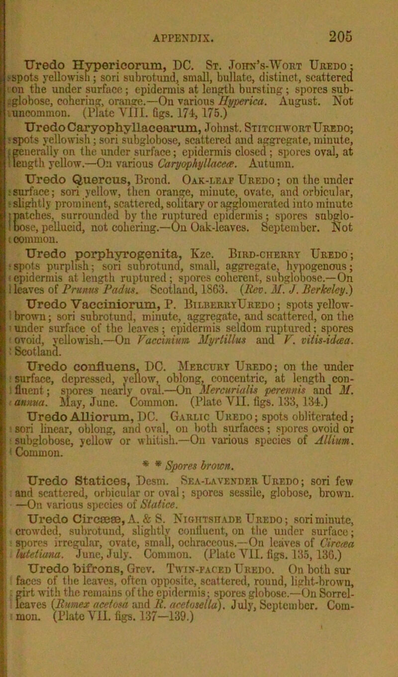 Uredo Hypericorum, DC. St. John’s-Wort Uredo: 'Spots yellowish; sori subrotund, small, bullatc, distinct, scattered 1 on the under surface; epidermis at length bursting; spores sub- .globose, cohering, orange.—On various Hyperica. August. Not uncommon. (Plate VIII. figs. 174,175.) TJredo Caryophyllacearum, Johnst. Stitchwobt Uredo; s spots yellowish; sori subglobose, scattered and aggregate, minute, : generally on the under surface; epidermis closed ; spores oval, at ! length yellow.—On various Caryophyllacece. Autumn. Uredo Quercus, Brond. Oak-i/eaf Uredo; on the under : surface; sori yellow, then orange, minute, ovate, and orbicular, slightly prominent, scattered, solitary or agglomerated into minute t patches, surrounded by the ruptured epidermis ; spores subglo- ’ Dose, pellucid, not cohering.—On Oak-leaves. September. Not i common. Uredo porphyrogenita, Kze. Bird-cherry Uredo; • spots purplish; sori subrotund, small, aggregate, hvuogenous; ;epidermis at length ruptured; spores coherent, subglobose.—On i leaves of Prunus Padus. Scotland, 1863. (Rev. M. J. Berkeley.) Uredo Vaccimorum, P. BilberryUredo ; spots yellow- ! brown; sori subrotund, minute, aggregate, and scattered, on the : under surface of the leaves ; epidermis seldom ruptured; spores ovoid, yellowish.—On Vaccinium Myrtillus and V. vUis-idcea. ■ Scotland. Uredo confluens, DC. Mercury Uredo ; on the under : surface, depressed, yellow, oblong, concentric, at length con- fluent ; spores nearly oval.—On Mercurialis perennis and M. annua. May, June. Common. (Plate VII. figs. 133, 134.) Uredo Alliorum, DC. Garlic Uredo; spots obliterated; sori linear, oblong, and oval, on both surfaces; spores ovoid or subglobose, yellow or whitish.—On various species of Allium. * Common. * * Spores brown. Uredo Statices. Dcsm. Sea-lavender Uredo; sori few and scattered, orbicular or oval; spores sessile, globose, brown. —On various species of Statice. Uredo Circcese, A. & S. Nightshade Uredo; sori minute, crowded, subrotund, slightly confluent, on the under surface; spores irregular, ovate, small, ochraccous.—On leaves of Circtea luteliana. June, July. Common. (Plate VII. figs. 135,136.) Uredo bifrons, Grcv. Twin-faced Uredo. On both sur faces of the leaves, often opposite, scattered, round, liglit-brown, - girt with the remains of the epidermis; spores globose.—On Sorrel- leaves (Rumex acetosa and R. acetosella). July, September. Com- mon. (Plate VII. figs. 137-139.)