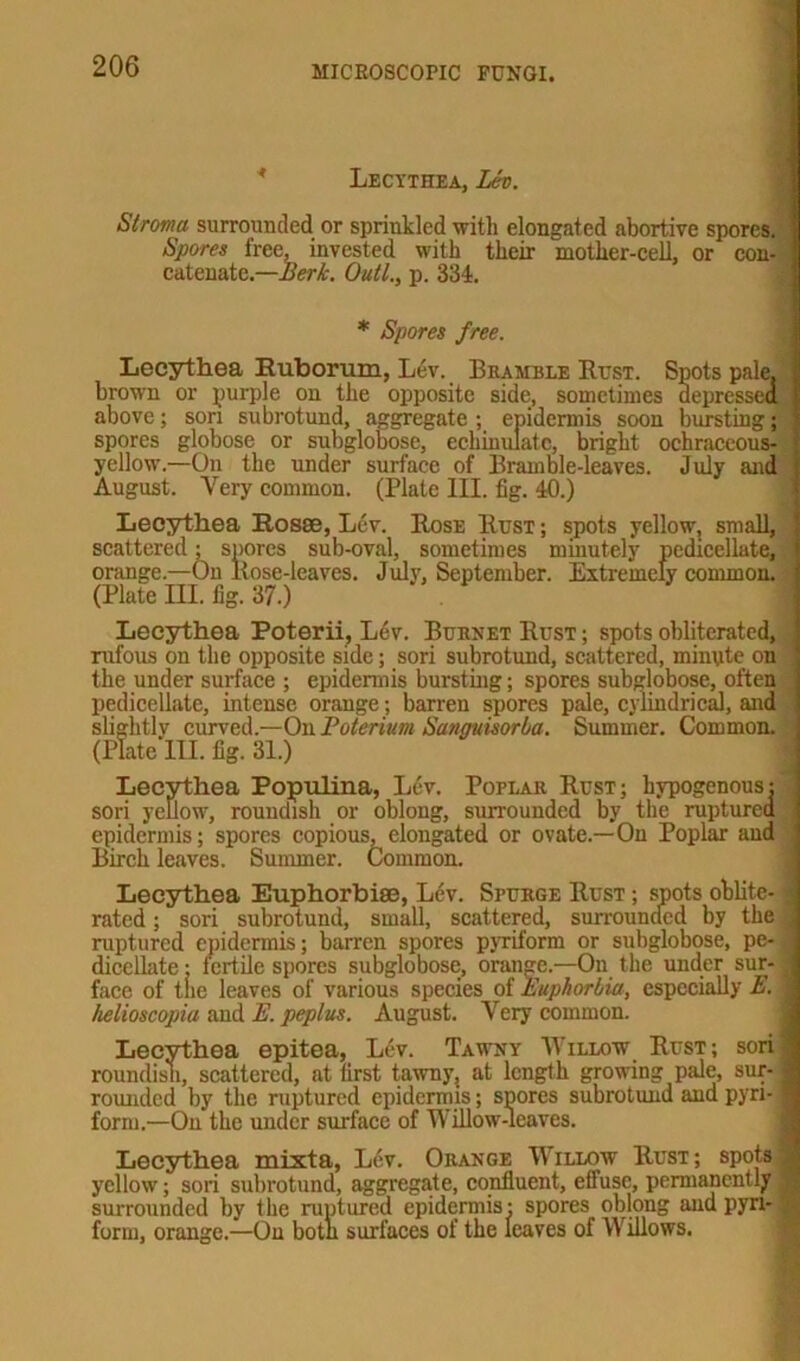 Lecythea, Lb. Stroma surrounded or sprinkled with elongated abortive spores. Spores free, invested with their mother-cell, or con- ! catenate.—Berk. Outl., p. 334. * Spores f ree. Lecythea Euborum, Lev. Bramble Rust. Spots pale, brown or purple on the opposite side, sometimes depressed above; son subrotund, aggregate ; epidermis soon bursting; spores globose or subglobose, echiuulatc, bright ochraccous- yellow.—On the under surface of Bramble-leaves. July and August. Very common. (Plate III. fig. 40.) Lecythea Rosse, Lev. Rose Rust ; spots yellow, small, scattered; spores sub-oval, sometimes minutely pedicellate, orange.—On Rose-leaves. July, September. Extremely common. (Plate III. fig. 37.) Lecythea Poterii, Lev. Burnet Rust ; spots obliterated, rufous on the opposite side; sori subrotund, scattered, minute on the under surface ; epidermis bursting; spores subglobose, often pedicellate, intense orange; barren spores pale, cylindrical, and slightlv curved.—On Toterium Sunmisorba. Summer. Common. (Plate III. fig. 31.) Lecythea Populina, Lev. Poplar Rust; hypogenous: sori yellow, roundish or oblong, surrounded by the ruptured epidermis; spores copious, elongated or ovate.—On Poplar and Birch leaves. Summer. Common. Lecythea Euphorbias, Lev. Spurge Rust ; spots oblite- rated ; sori subrotund, small, scattered, surrounded by the ruptured epidermis; barren spores pyriform or subglobose, pe- dicellate ; fertile spores subglobose, orange—On the under sur- face of the leaves of various species of Euphorbia, especially E. helioscopia and E. peplus. August. Very common. Lecythea epitea, Lev. Tawny Willow Rust; sori roundish, scattered, at first tawny, at length growing pale, sur- rounded by the ruptured epidermis; spores subrotund and pyri- form.—On the under surface of Willow-leaves. Lecythea mixta, Lev. Orange Willow Rust; spots yellow; sori subrotund, aggregate, confluent, effuse, permanently surrounded by the ruptured epidermis- spores oblong and pyri- form, orange.—On both surfaces of the leaves of Willows. ■-1— -