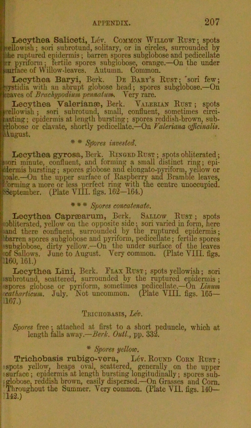 Lecythea Saliceti, Lev. Common Willow Rust; spots yellowish; sori subrotund, solitary, or in circles, surrounded by die ruptured epidermis; barren spores subglobose and pedicellate t r pyriform ; fertile spores subglobose, orange.—On tlie under jurtace of Willow-leaves. Autumn. Common. Lecythea Baryi, Berk. De Baby’s Rust; 'sori few; ’rystidia with an abrupt globose head; spores subglobose.—On eeaves of Brachypodium pennatum-. Yery rare. Lecythea Valerian®, Berk. Valerian Rust ; spots eellowish ; sori subrotund, small, confluent, sometimes emu- lating ; epidermis at length bursting; spores reddish-brown, sub- globose or clavate, shortly pedicellate.—On Valeriana officinalis. august. * * Spores invested. Lecythea gyrosa, Berk. Ringed Rust ; spots obliterated; ;ori minute, confluent, and forming a small distinct ring; epi- dermis bursting; spores globose and clongato-pvriform. yellow or pale.—On the upper surface of Raspberry and Bramble leaves, I ormiug a more or less perfect ring with the centre unoccupied. ^September. (Plate VIII. figs. 162-16-1.) * * * Spores concatenate. Lecythea Caprsearum, Berk. Sallow Rust ; spots obliterated, yellow on the opposite side; sori varied in form, here .and there confluent, surrounded by the ruptured epidermis; ^barren spores subglobose and pyriform, pedicellate; fertile spores ‘subglobose, dirty yellow.—On the under surface of the leaves of Sallows. June to August. Very common. (Plate VIII. figs. 1160,161.) Lecythea Lini, Berk. Flax Rust; spots yellowish; sori subrotund, scattered, surrounded by the ruptured epidermis; spores globose or pyriform, sometimes pedicellate.—On Linum catharticum. July. Not uncommon. (Plate VIII. figs. 165— 167.) TiucnoBASis, Lev. Spores free; attached at first to a short peduncle, which at length falls away.—Berk. Outl., pp. 332. * Spores yellow. Trichobasis rubigo-vera, Lev.Round Corn Rust; ' spots yellow, heaps oval, scattered, generally on the upper surface; epidermis at length bursting longitudinally; spores sub- flobose, reddish brown, easily dispersed.—On Grasses and Corn. broughout the Summer. Very common. (Plate VII. figs. 140— 142.)