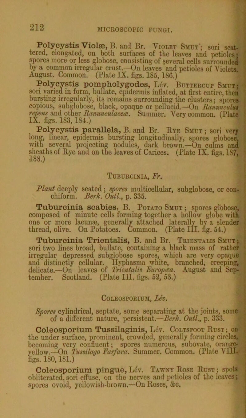 Polycystis Violse, B. and Br. Violet Smut'; sori scat- tered, elongated, on both surfaces of the leaves and petioles; spores more or less globose, consisting of several cells surroundei by a common irregular crust.—On leaves and petioles of Violets. August. Common. (Plate IX. figs. 185, 186.) Polycystis pompholygodes, Lev. Buttercup Smut; i sori varied in form, bullate, epidermis inflated, at first entire, then bursting irregularly, its remains surrounding the clusters; spores copious, subglobose, black, opaque or pellucid.—On Ranunculitt repens and other Ranmculacece. Summer. Very common. (Plate IX. figs. 183,184.) Polycystis parallela, B. and Br. Bye Smut ; sori very long, linear, epidermis bursting longitudinally, spores globose, ; with several projecting nodules, dark brown.—On culms ana sheaths of Rye and ou the leaves of Cariccs. (Plate IX. figs. 187, Tuburcinia, Fr. Riant deeply seated; spores multicellular, subglobose, or con- chiform. Berk. Outl., p. 335. Tuburcinia scabies, B. Potato Smut ; spores globose, composed of minute cells forming together a hollow globe with one or more lacuna;, generally attached laterally by a slender thread, olive. On Potatoes. Common. (Plate 111. fig. 54.) Tuburcinia Trientalis, B. and Br. Trtentalis Smut ; sori two lines broad, bullate, containing a black mass of rather irregular depressed subglobose spores, which are very opaque and distinctly cellular. Hyphasma white, brauched, creeping, ; delicate.—On leaves of Trientalis Eurojuea. August and Sep- tember. Scotland. (Plate III. figs. 52, 53.) CoLEOSrORlUM, Leo. Spores cylindrical, septate, some separating at the joints, some of a different nature, persistent.—Berk. Outl., p. 333. Coleosporium Tussilaginis, Lev. Coltsfoot Rust ; on the under surface, prominent, crowded, generally forming circles, \ becoming very confluent; spores numerous, subovate, orangflj vcllow.—On Tussilapo Farfara. Summer. Common. (Plate Vlll^l figs. ISO, 181.) Coleosporium pingue, L6v. Tawny Rose Rust : spots obliterated, sori effuse, on the nerves and petioles of the leaves; spores ovoid, yellowish-brown.—Ou Roses, &c.
