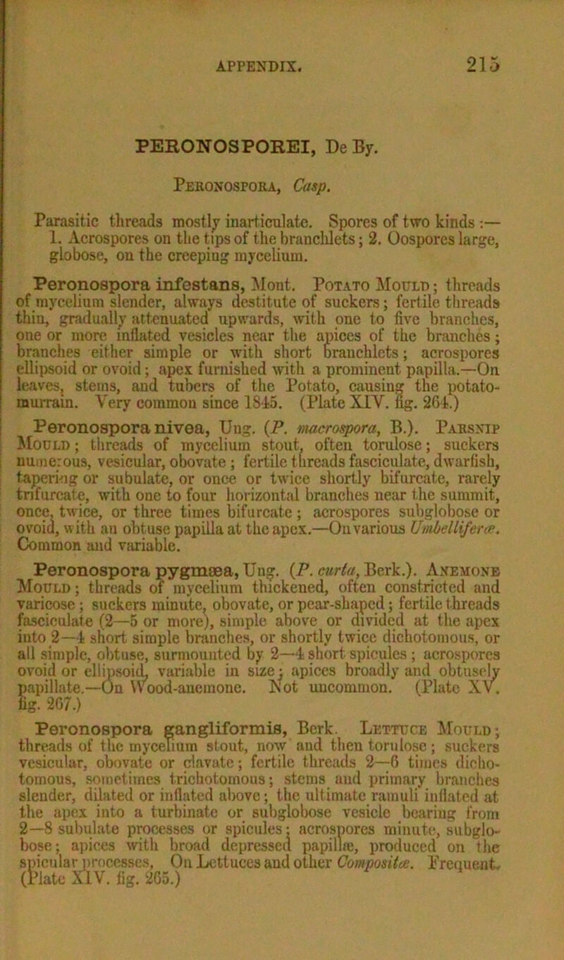 PERONOSPOREI, De By. Peronospora, Casp. Parasitic threads mostly inarticulate. Spores of two kinds :— 1. Acrospores on the tips of the branchlets; 2. Oospores large, globose, on the creeping mycelium. Peronospora infestans, Mont. Potato Mould ; threads of mycelium slender, always destitute of suckers; fertile threads thin, gradually attenuated upwards, with one to five branches, one or more inflated vesicles near the apices of the branches; branches either simple or with short brauchlcts; acrospores ellipsoid or ovoid; apex furnished with a prominent papilla.—On leaves, steins, and tubers of the Potato, causing the potato- murrain. Very common since 1S45. (Plate XIV. fig. 264.) Peronospora nivea, Ung. (P. macrospora, B.). Parsnip Mould ; threads of mycelium stout, often torulose; suckers numerous, vesicular, obovate; fertile threads fasciculate, dwarfish, tapering or subulate, or once or twice shortly bifurcate, rarely trifurcate, with one to four horizontal branches near the summit, once, twice, or three times bifurcate ; acrospores subglobose or ovoid, with an obtuse papilla at the apex.—On various Umbel life ns. Common and variable. Peronospora pygmaea, Ung. (P. curta, Berk.). Anemone Mould ; threads of mycelium thickened, often constricted and varicose; suckers minute, obovate, or pear-shaped; fertile threads fasciculate (2—5 or more), simple above or divided at the apex into 2—4 short simple branches, or shortly twice dichotomous, or all simple, obtuse, surmounted by 2—4 short spicules ; acrospores ovoid or ellipsoid, variable in size) apices broadly and obtusely papillate.—On VVood-anemone. ISlot uncommon. (Plate XV. fig. 267.) Peronospora gangliformis, Berk. Lettuce Mould; threads of the mycelium stout, now and then torulose; suckers vesicular, obovate or clavate; fertile threads 2—6 times dicho- tomous, sometimes trichotomous; stems and primary branches slender, dilated or inflated above; the ultimate ramuli inflated at the apex into a turbinate or subglobose vesicle bearing from 2—8 subulate processes or spicules: acrospores minute, subglo- bose ; apices with broad depressed papillte, produced on the spicular processes, On Lettuces and other Composite. Prequeat- (Plate XIV. fig. 265.)