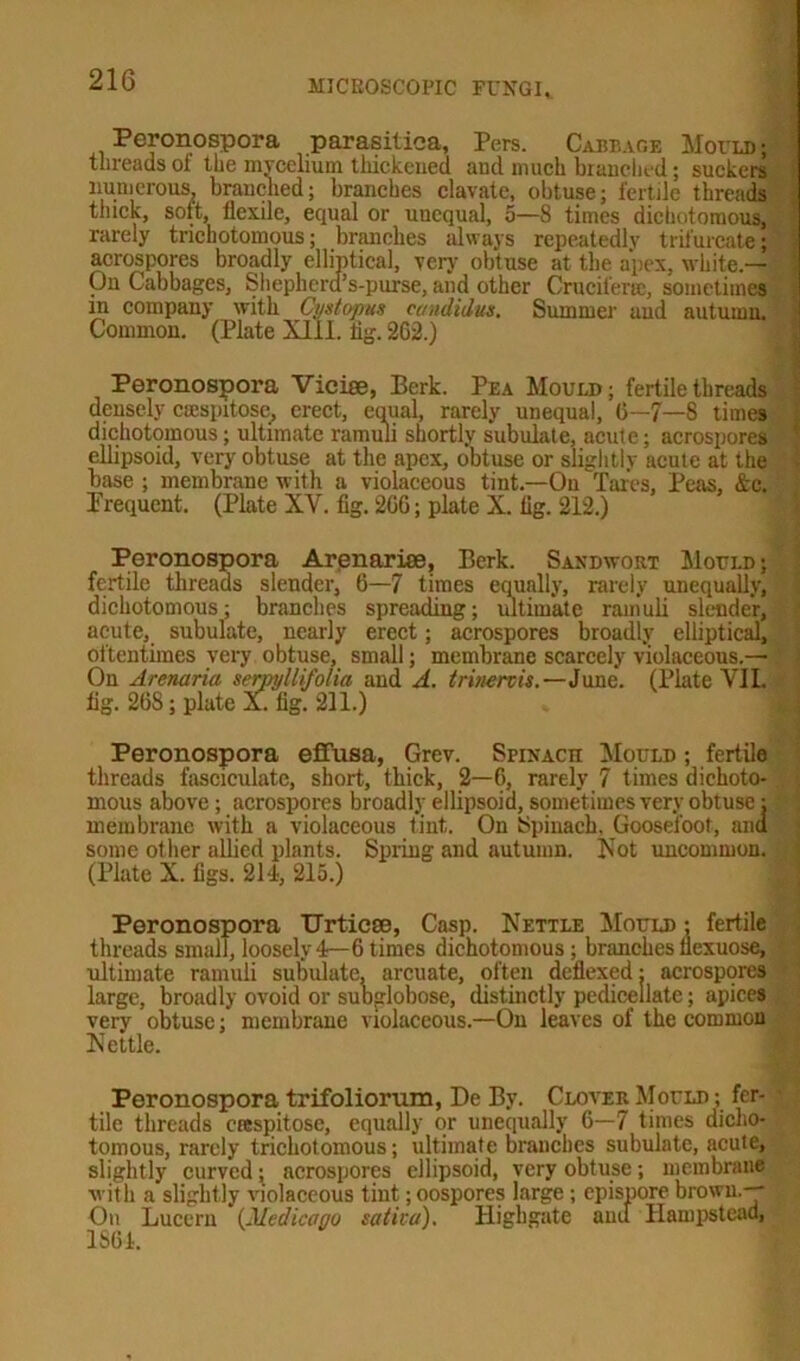 Peronospora parasitica, Pers. Cabbage Mould; threads oi the mvcelium thickened and much branched; suckers numerous branched; branches clavate, obtuse; fertile threads : thick, sott, flexile, equal or uucqual, 5—8 times dichotomous, rarely trichotomous; branches always repeatedly trifurcate j acrospores broadly elliptical, very obtuse at the apex, white.— On Cabbages, Sheplicrd’s-purse, and other Crucifer®, sometimes in company with Cystopns Candidas. Summer and autumn. Common. (Plate XIII. tig. 262.) Peronospora Vicise, Berk. Pea Mould; fertile threads densely ciespitosc, erect, equal, rarely unequal, 6—7—8 times dichotomous; ultimate ramuli shortly subulate, acute; acrospores ellipsoid, very obtuse at the apex, obtuse or slightly acute at the base; membrane with a violaceous tint.—On Tares, Peas, &c. Frequent. (Plate XV. fig. 2GG; plate X. tig. 212.) Peronospora Arenarise, Berk. Sandwort Mould; fertile threads slender, 6—7 times equally, rarely unequally, dichotomous; branches spreading; ultimate ramuli slender, acute, subulate, nearly erect; acrospores broadly elliptical, oftentimes very obtuse, small; membrane scarcely violaceous.— On Arenaria servyllifolia and A. trinervis.—June. (Plate YIL tig. 268; plate a. tig. 211.) Peronospora effusa, Grev. Spinach: Mould ; fertile threads fasciculate, short, thick, 2—G, rarely 7 times dichoto- mous above ; acrospores broadly ellipsoid, sometimes very obtuse: membrane with a violaceous tint. On Spinach. Goosefoot, and some other allied plants. Spring and autumn. Not uncommon. • (Plate X. figs. 214, 215.) Peronospora Urticse, Casp. Nettle Mould : fertile threads small, loosely 4— 6 times dichotomous; branches flexuose, ultimate ramuli subulate, arcuate, often deflexed: acrospores large, broadly ovoid or subglobose, distinctly pedicellate; apices very obtuse; membrane violaceous.—On leaves of the common Nettle. Peronospora trifoliorum, De By. Clover Mould ; fer- tile threads crespitose, equally or unequally 6—7 times dicho- tomous, rarely trichotomous; ultimate branches subulate, acute, slightly curved; acrospores ellipsoid, very obtuse; membrane with a slightly violaceous tint; oospores large ; epispore brown.— On Lucern (Medicogo saliva). Highgate and Hampstead, 1S64.