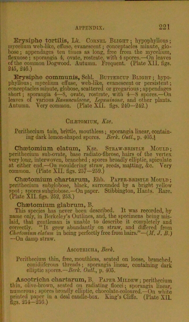Erysipho tortilis, Lk. Cornel Bligiit ; hyppphyllous; mycelium web-like, effuse, evanescent; conceptaclcs minute, glo- bose ; appendages ten times as long, free from the mycelium, flexuose ; sporangia 4, ovate, rostrate, with 4 spores.—On leaves of the common Dogwood. Autumn. Frequent. (Plate XXL figs. 245, 240.) Erysiphe communis, Scld. Buttercup Bligiit ; hypo- phyllous; mycelium effuse, web-like, evanescent or persistent; conceptacles minute, globose, scattered or gregarious; appendages short; sporangia 4—8, ovate, rostrate, witii 4—8 spores.—On leaves ot various Ramincttlacea, Legaminoste, and other plants. Antumu. Very common. (Plate Xll. figs. 240—242.) ChjEtomium, Kze. Perithecium tain, brittle, mouth less; sporangia linear, contain- ing dark lemon-shaped spores. Berk. Outl., p. 405.J Chsetomium elatum, Kze. Straw-bristle Mould; perithecium sub-ovate, base radiato-fibrose, hairs of the vertex very long, interwoven, branched; spores broadly elliptic, apiculatc at either end.—On mouldering straw, reeds, matting, &c. Very common. (Plate XII. figs. 257—259.) Chsetomium chartarum, Ehb. Paper-bristle Mould ; I perithecium subglobose, black, surrounded by a bright yellow spot; spores subglobose.—On paper. Stibbington, Hants. Rare. (Plate XII. figs. 252, 253.) Chsetomium glabrum, B. This species has never been described. It was recorded, by name only, in Berkeley’s Outlines, and, the specimens being mis- laid, that gentleman is unable to describe it completely and correctly. “ It grew abundantly on straw, and differed from Cfapiomium, datum in being perfectly free from hairs.”—(.1/. J. B.) —On damp straw. Ascotriciia, Berk. Perithecium thin, free, mouthless, seated on loose, branched, conidiiferous threads; sporangia linear, containing dark elliptic spores.—Berk. Outl., p. 405. Ascotricha chartarum, B. Paper Mildew; perithecium thin, olive-brown, seated on radiating flocci; sporangia linear, numerous; spores broadly elliptic, chocolate-coloured.—On white printed paper in a deal candle-box. King’s Chile. (Plate Xll figs. 254—25G.)