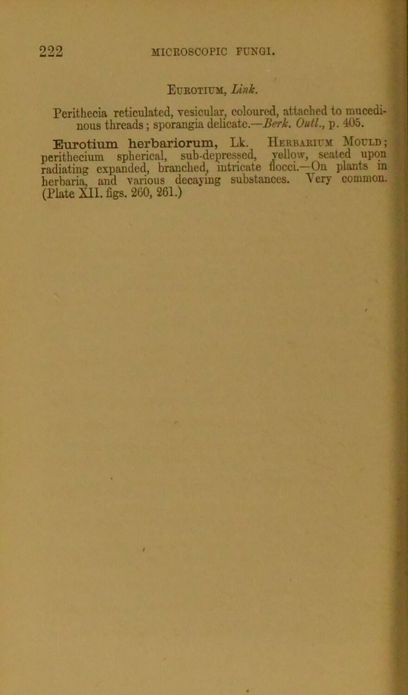 EUROTIUM, Link. Perithecia reticulated, vesicular, coloured, attached to mucedi- nous threads; sporangia delicate.—Berk. Outl., p. 405. Eurotium herbariorum, Lie. Herbarium Mould; perithecium spherical, sub-depressed, yellow, seated upon radiating expanded, branclied; intricate nocci.—On plants m herbaria, and various decaying substances. Very common. (Plate Xll. figs. 200, 261.)