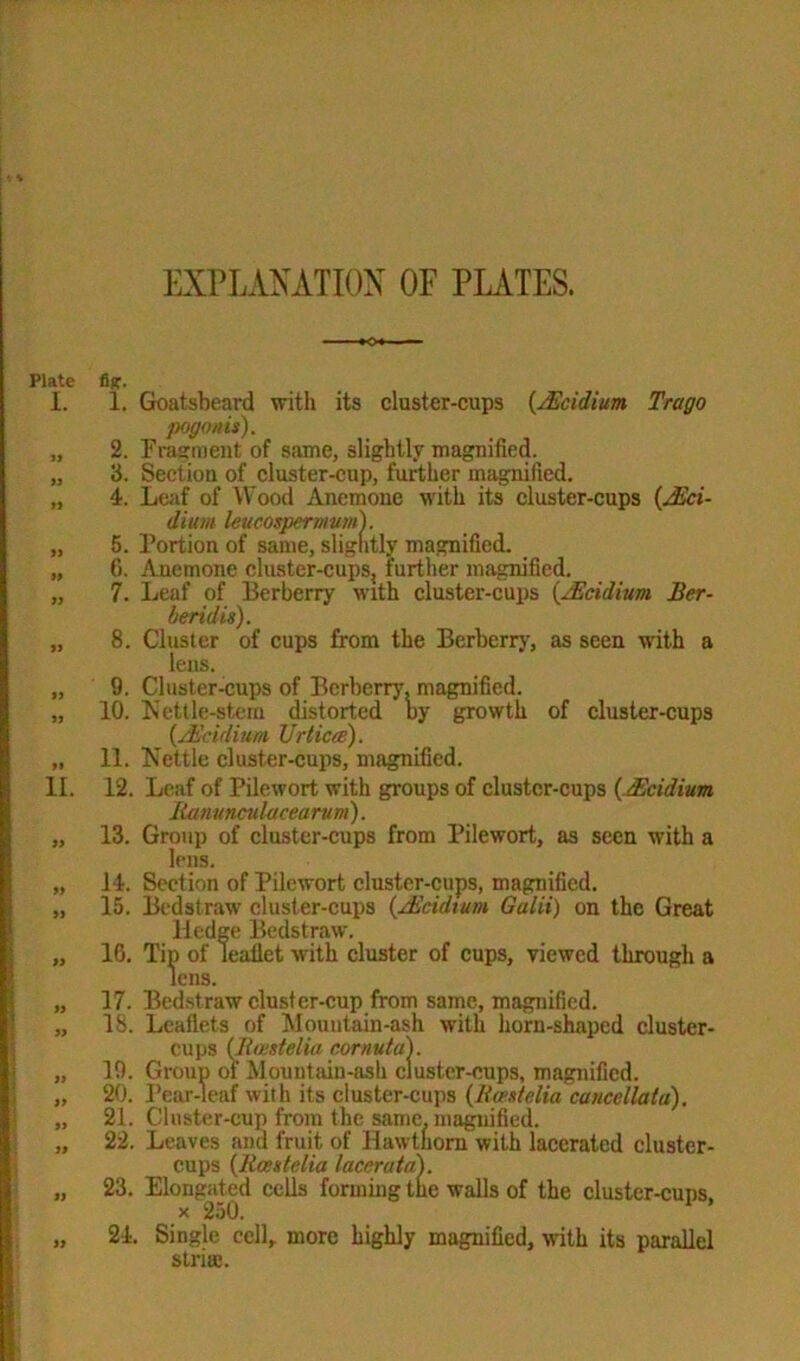 EXPLANATION OF PLATES. Plate 1. » >J H » » )J 99 JJ M II. 99 » 99 M » » 99 » 39 93 99 1. Goatsbeard with its cluster-cups (/Eeidium Trago pogonis). 2. Fragment of same, slightly magnified. 3. Section of cluster-cup, further magnified. 4. Leaf of Wood Anemone with its cluster-cups (/Eci- dium leucospermum). 5. Portion of same, sligntly magnified. 6. Anemone cluster-cups, further magnified. 7. Leaf of Berberry with cluster-cups (/Eeidium Ber- heridis). 8. Cluster of cups from the Berberry, as seen with a lens. 9. Cluster-cups of Berberry, magnified. 10. Nettle-stern distorted by growth of cluster-cups (/Eeidium Urticcc). 11. Nettle cluster-cups, magnified. 12. Leaf of Pilewort with groups of cluster-cups (.Eeidium Ranunculacearuni). 13. Group of cluster-cups from Pilewort, as seen with a lens. 14. Section of Pilewort cluster-cups, magnified. 15. Bcdstraw cluster-cups (/Eeidium Gulii) on the Great Hedge Bedstraw. 16. Tip of leaflet with cluster of cups, viewed through a lens. 17. Bedstraw cluster-cup from same, magnified. 18. Leaflets of Mountain-ash with horn-shaped cluster- cups (Jt test el ia cornu t a). 19. Group of Mountain-ash cluster-cups, magnified. 20. Pear-leaf with its cluster-cups (Rcestelia cancellatd), 21. Cluster-cup from the same, magnified. 22. Leaves and fruit of Hawtliorn with lacerated cluster- cups (Rcestelia lacerata). 23. Elongated cells forming tne walls of the cluster-cuns. x 250. 24. Single cell, more highly magnified, with its parallel striae.