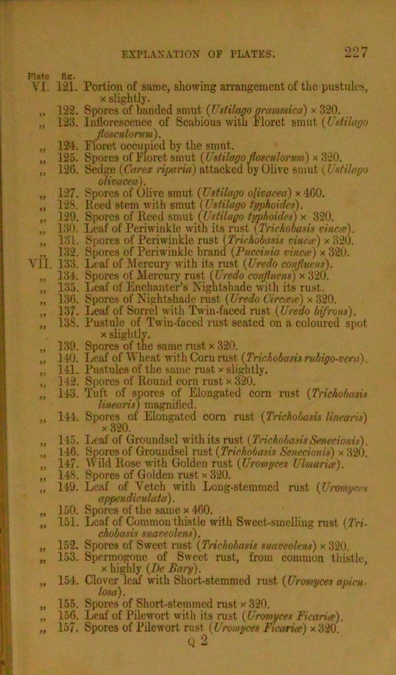 Plate VI. VII. flit. 121. Portion of same, showing arrangement of the pustules, x slightly. 122. Spores of banded smut (Ustilago grammica) x 320. 123. Inilorescence of Scabious with Floret smut (Ustilago fiosculonm). 124. Floret occupied by the smut. 125. Spores of Floret smut (Ustilago flosculorum) x 320. 12G. Sedge (Carex riparia) attacked by Olive smut ( Ustilago olicacea). 127. Spores of Olive smut (Ustilago olicacea) x 400. 128. Reed stem with smut (Ustilago ti/phoides). 129. Spores of Reed smut (Ustilago tyiihoides) x 320. 130. Leaf of Periwinkle with its rust (Trichobasis vinca). 131. Spores of Periwinkle rust (Trichobasis vincce) x 320. 132. Spores of Periwinkle brand (Pnccinia vinca1) x 320. 133. Leaf of Mercury with its rust (Uredo conjiucns). 134. Spores of Mercury rust (Uredo confiuens) x 320. 135. Leaf of Enchanter’s Nightshade with its rust. 136. Spores of Nightshade rust. (Uredo Circrece) x 320. 137. Leaf of Sorrel with Twin-faced rust (Uredo bifrons). 138. Pustule of Twin-faced rust seated on a coloured spot x slightlv. 139. Spores of the same rust x 320. 140. Leaf of Wheat with Corn rust, (Trichobasis ntbigo-vera). 141. Pustules of the same rust x slightly. J 42. Spores of Round corn rust x 320. 143. Tuft of spores of Elongated com rust (Trichobasis linearis) magnified. 144. Spores ot Elongated com rust (Trichobasis linearis) x 320. 145. Leaf of Groundsel with its rust (Trichobasis Senecionis). 146. Spores of Groundsel rust (Trichobasis Senecionis) x 320. 147. Wild Rose with Golden rust (Uromyces Ulmaria). 148. Spores of Golden rust x 320. 149. Leaf of Vetch with Long-stemmed rust (Uromyces appendicnlata). 150. Spores of the same x 460. 151. Leaf of Common thistle with Sweet-smelling rust (Tri- chobasis snaveolcns). 152. Spores of Sweet rust (Trichobasis suaveolens) x 320. 153. Spermogone of Sweet rust, from common thistle, x highly (Be Bury). 154. Clover leaf with Short-stemmed rust (Uromyces apicu- losa). 155. Spores of Short-stemmed rust x 320. 156. Leaf of Pilewort with its rust (Uromyces Ficariee). 157. Spores of Pilewort rust (Uromyces Ficariee) x 320. Q 2