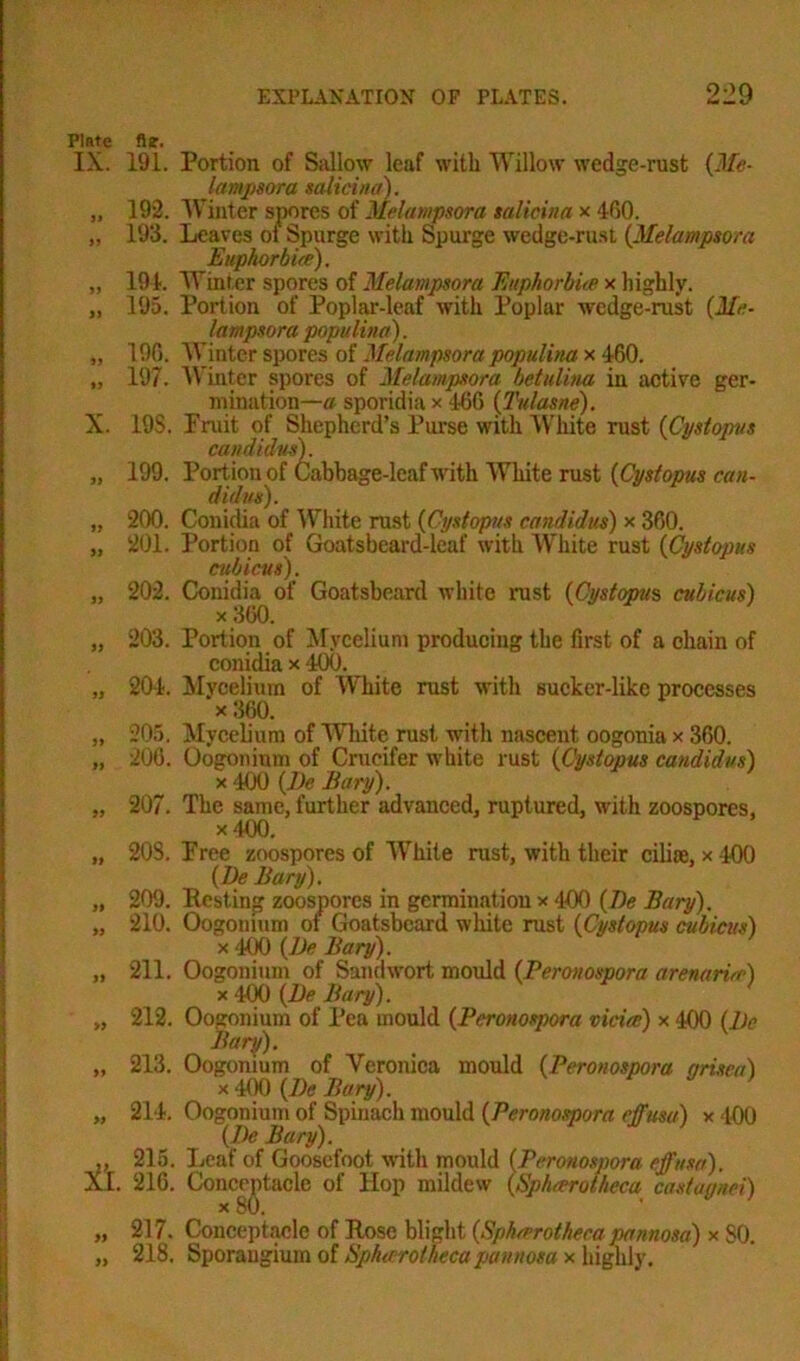 Plate IX. ft ti it it t) X. )) it it it it tt s» a a it a tt a tt it a xi. » >> fie. 191. Portion of Sallow leaf with Willow wedge-rust (Me- lampsora salicina). 192. Winter spores of Melampsora salicina x 460. 193. Leaves of Spurge with Spurge wedge-rust (Melampsora Euphorbia). 191. Winter spores of Melampsora Euphorbia x highly. 195. Portion of Poplar-leaf with Poplar wedge-rust (Me- lampsora populina). 196. Winter spores of Melampsora populina x 460. 197. Winter spores of Melampsora betulina in active ger- mination—a sporidia x 466 (Tulasne). 19S. Fruit of Shepherd’s Purse with White rust (Cystopus Candidas). 199. Port ion of Cabbage-leaf with White rust (Cystopus Can- didas). 200. Conidia of White rust (Cystopus Candidas) x 360. 201. Portion of Goatsbeard-leaf with White rust (Cystopus cubicus). 202. Conidia of Goatsbeard white rust (Cystopus cubicus) x 360. 203. Portion of Mycelium producing the first of a chain of conidia x 400. 204. Mycelium of White rust with sucker-likc processes x 360. 205. Mycelium of White rust with nascent oogonia x 360. 206. Oogonium of Crueifer white rust (Cystopus Candidas) x 400 (Be Bary). 207. The same, further advanced, ruptured, with zoospores, x 400. 203. Free zoospores of White rust, with their cilise, x 400 (Be Bary). 209. Resting zoospores in germination x 400 (Be Bary). 210. Oogonium ot Goatsbeard white rust (Cystopus cubicus) x 400 (Be Bary). 211. Oogonium of Sandwort mould (Peronospora arenaria) x 400 (Be Bary). 212. Oogonium of Pea mould (Peronospora vicia) x 400 (Be Bary). 213. Oogonium of Veronica mould (Peronospora arisen) x 400 (Be Bary). 214. Oogonium of Spinach mould (Peronospora effusa) x 400 (Be Bary). 215. Leaf of Gooscfoot with mould (Peronospora effusa). 216. Conceptaclc of Hop mildew (Spharotheca castagnei) 217. Conceptaclc of Rose blight (Sphrerothecapannosa) x 80. 21.8. Sporangium of Sphierotheca pannosa x highly.