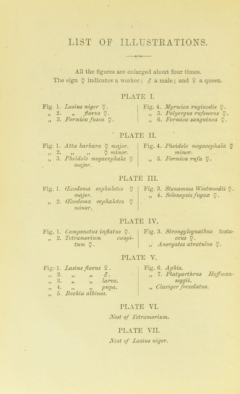 LIST OF ILLUSTRATIONS. All the figures are enlarged about four times. The sign $ indicates a worker ; $ a male; and $ a queen. Fig. JJ 1. 2. 3. Fig. 1. 2. 3.’ Fig. 1. „ 2. Fig. 1. Fig. >> 5> »> 1. 2. 3. 4. 5. PLATE I. Lasius niger 5. | Fig. 4. My rmica ruginodis §. „ flavus $. I „ 5. Polyergus rufescens 8. Formica fusca | „ 6. Formica sanguinea §. PLATE II. Atta barbara § mayor. „ ,, 5 minor. Pheidole megacephala $ major. Fig. 4. Pheidole megacephala 8 minor. ,, 5. Formica rvfa 8. PLATE III. (Fcodoma eephalotes § Fig. 3. Stenamma Westnoodii 0. major. „ 4. Solenopsis fugax 8. CEcodoma eephalotes $ minor. PLATE IV. Camponotus inflatus $. Tctramorium ccespi- tum $. Fig. 3. Strongylognathus testa- „ Anergates atratulus £ • PLATE V. Lasius fla/ous ? . i> 1) d • „ „ larva. „ „ jwpa. Bechia albinos. Fig. 6. Aphis. „ 7. Platyarthrus Hoffman - seggii. „ Claviger fnteolatus. PLATE YI. iVhst of Tctramorium. PLATE VII. Host of Lasius niger.