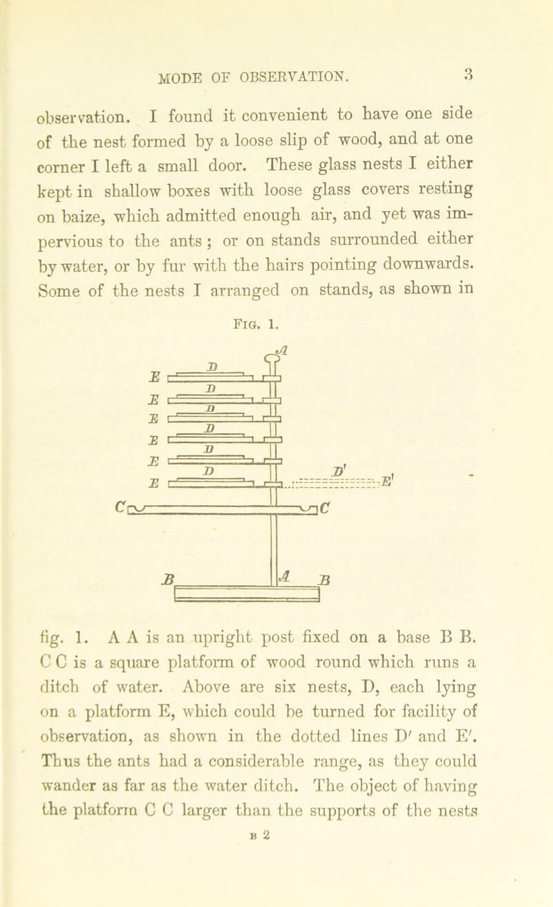 MODE OF OBSERVATION. observation. I found it convenient to have one side of the nest formed by a loose slip of wood, and at one corner I left a small door. These glass nests I either kept in shallow boxes with loose glass covers resting on haize, which admitted enough air, and yet was im- pervious to the ants ; or on stands surrounded either by water, or by fur with the hairs pointing downwards. Some of the nests I arranged on stands, as shown in Fig. l. fig. 1. A A is an upright post fixed on a base B B. C C is a square platform of wood round which runs a ditch of water. Above are six nests, D, each lying on a platform E, which could he turned for facility of observation, as shown in the dotted lines D' and Eh Thus the ants had a considerable range, as they could wander as far as the water ditch. The object of having the platform C C larger than the supports of the nests
