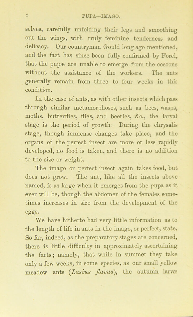 PUPA—IMAGO. selves, carefully unfolding their legs and smoothing out the wings, with truly feminine tenderness and delicacy. Our countryman Gould long ago mentioned, and the fact has since been frdly confirmed by Forel, that the pupae are unable to emerge from the cocoons without the assistance of the workers. The ants generally remain from three to four weeks in this condition. In the case of ants, as with other insects which pass through similar metamorphoses, such as bees, wasps, moths, butterflies, flies, and beetles, &c., the larval stage is the period of growth. During the chrysalis stage, though immense changes take place, and the organs of the perfect insect are more or less rapidly developed, no food is taken, and there is no addition to the size or weight. The imago or perfect insect again takes food, but does not grow. The ant, like all the insects above named, is as large when it emerges from the pupa as it ever will be, though the abdomen of the females some- times increases in size from the development of the eggs. We have hitherto had very little information as to the length of life in ants in the imago, or perfect, state. So far, indeed, as the preparatory stages are concerned, there is little difficulty in approximately ascertaining the facts; namely, that while in summer they take only a few weeks, in some species, as our small yellow meadow ants (Lasius flavus), the autumn larvae