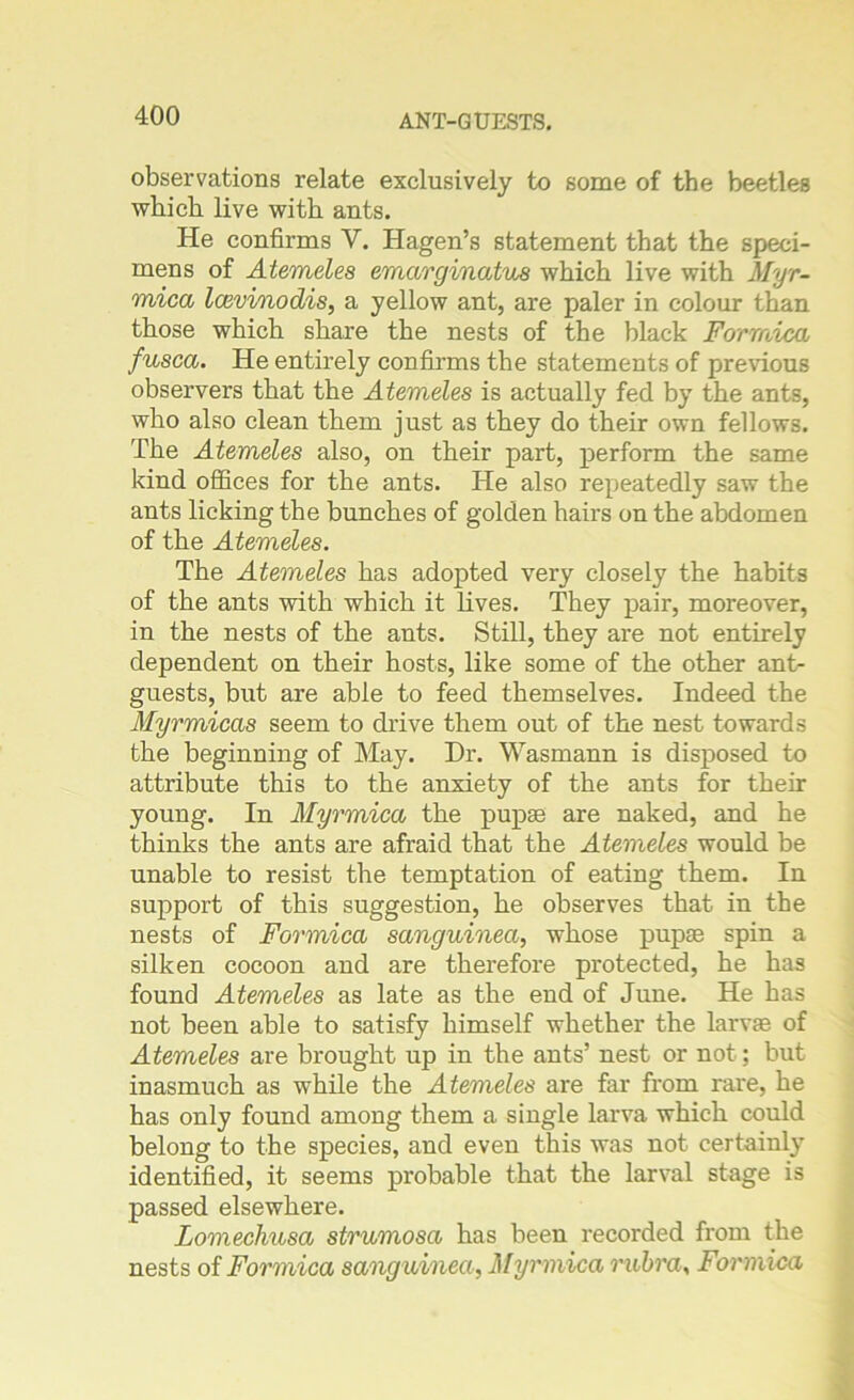 observations relate exclusively to some of the beetles which live with ants. He confirms V. Hagen’s statement that the speci- mens of Atemeles emarginatus which live with Myr- mica IcevinocLis, a yellow ant, are paler in colour than those which share the nests of the black Formica fusca. He entirely confirms the statements of previous observers that the Atemeles is actually fed by the ants, who also clean them just as they do their own fellows. The Atemeles also, on their part, perform the same kind offices for the ants. He also repeatedly saw the ants licking the bunches of golden hairs on the abdomen of the Atemeles. The Atemeles has adopted very closely the habits of the ants with which it lives. They pair, moreover, in the nests of the ants. Still, they are not entirely dependent on their hosts, like some of the other ant- guests, but are able to feed themselves. Indeed the Myrmicas seem to drive them out of the nest towards the beginning of May. Dr. Wasmann is disposed to attribute this to the anxiety of the ants for their young. In Myrmica the pupse are naked, and he thinks the ants are afraid that the Atemeles would be unable to resist the temptation of eating them. In support of this suggestion, he observes that in the nests of Formica sanguinea, whose pupas spin a silken cocoon and are therefore protected, he has found Atemeles as late as the end of June. He has not been able to satisfy himself whether the larvae of Atemeles are brought up in the ants’ nest or not; but inasmuch as while the Atemeles are far from rare, he has only found among them a single larva which could belong to the species, and even this was not certainly identified, it seems probable that the larval stage is passed elsewhere. Lomechusa strumosa has been recorded from the nests of Formica sanguinea, Myrmica rubra, Formica