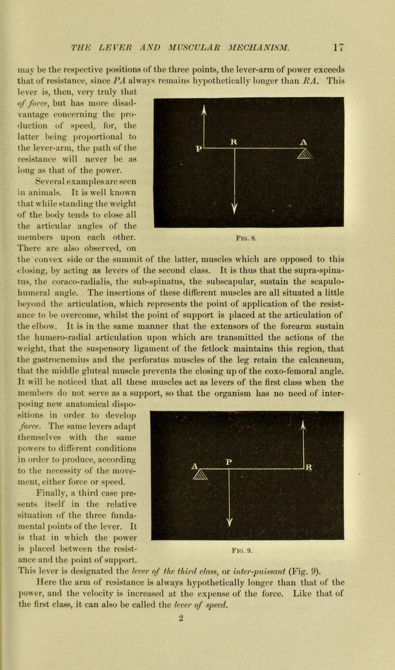 may be the respective positions of the three points, the lever-arm of povver exceeds that of résistance, silice PA alwavs remains hypothetically longer than RA. Tliis lever is, then, very truly that of force, but bas more disad- vantage concerning the pro- duction of speed, for, the latter being proportional to the lever-arm, the path of the résistance will never be as long as that of the power. Several examples are seen in animais. It is well known that while standing the weight of the body tends to close ail the articulai’ angles of the members upon each other. There are also observed, on the convex side or the summit of the latter, muscles which are opposed to this closing, bv acting as levers of the second class. It is thus that the supra-spina- tus, the cora co-radial is, the sub-spinatus, the subscapular, sustain the scapulo- humeral angle. The insertions of these different muscles are ail situated a little beyond the articulation, which represents the point of application of the résist- ance to be overcome, whilst the point of support is placed at the articulation of the elbow. It is in the same manner that the extensors of the forearm sustain the humero-radial articulation upon which are transmitted the actions of the weight, that the suspensory ligament of the fetlock maintains this région, that the gastrocnemius and the perforatus muscles of the leg retain the calcanéum, that the middle gluteal muscle prevents the closing up of the coxo-femoral angle. It will be noticed that ail these muscles act as levers of the first class when the members do not serve as a support, so that the organisai has no need of inter- posing new anatomical dispo- sitions in order. to develop force. The same levers adapt themselves with the same powers to different conditions in order to produce, according to the necessity of the move- ment, either force or speed. Finally, a third case pré- sents itself in the relative situation of the three funda- mental points of the lever. It is that in which the power is placed betwreen the résist- ance and the point of support. This lever is designated the lever of the third class, or inter-puissant (Fig. 9). Here the arm of résistance is always hypothetically longer than that of the power, and the velocity is increased at the expense of the force. Like that of the first class, it can also be called the lever of speed. 2 Fin. 9.