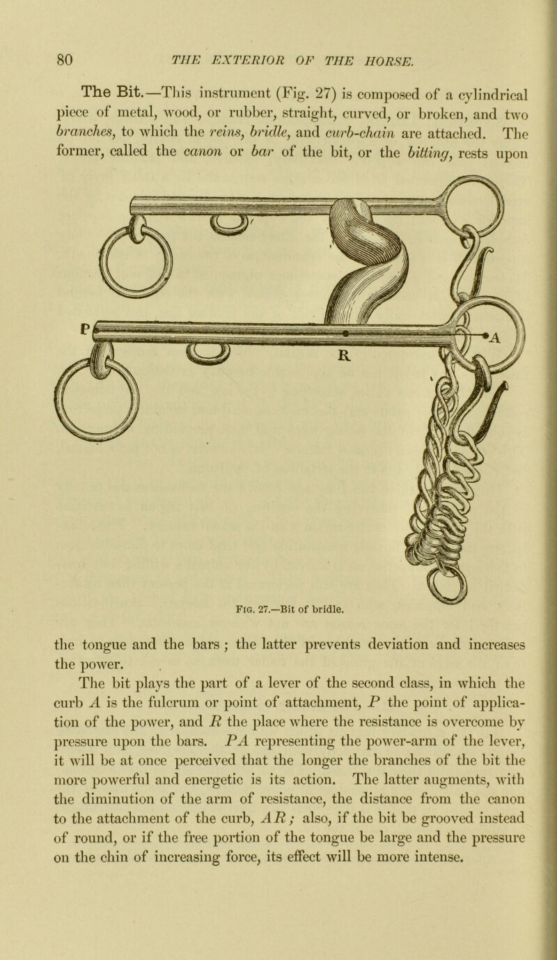 The Bit.—This instrument (Fig. 27) is composed of a cylindrical piece of métal, wood, or rubber, straight, curved, or broken, and two branches, to which tlie reins, bridle, and curb-chain are attached. The former, called the canon or bar of the bit, or tlie bitting, rests upon the tongue and the bars ; the latter prevents déviation and increases the power. The bit plays the part of a lever of the second class, in which the curb A is the fulcrum or point of attachment, P the point of applica- tion of the power, and R the place where the résistance is overcome bv pressure upon the bars. PA representing the power-arm of the lever, it will be at once perceived that the longer the branches of the bit the more powerful and energetic is its action. The latter augments, with tlie diminution of the arm of résistance, the distance from the canon to the attachment of the curb, AR ; also, if the bit be grooved instead of round, or if the free portion of the tongue be large and the pressure on the chin of increasing force, its effect will be more intense.