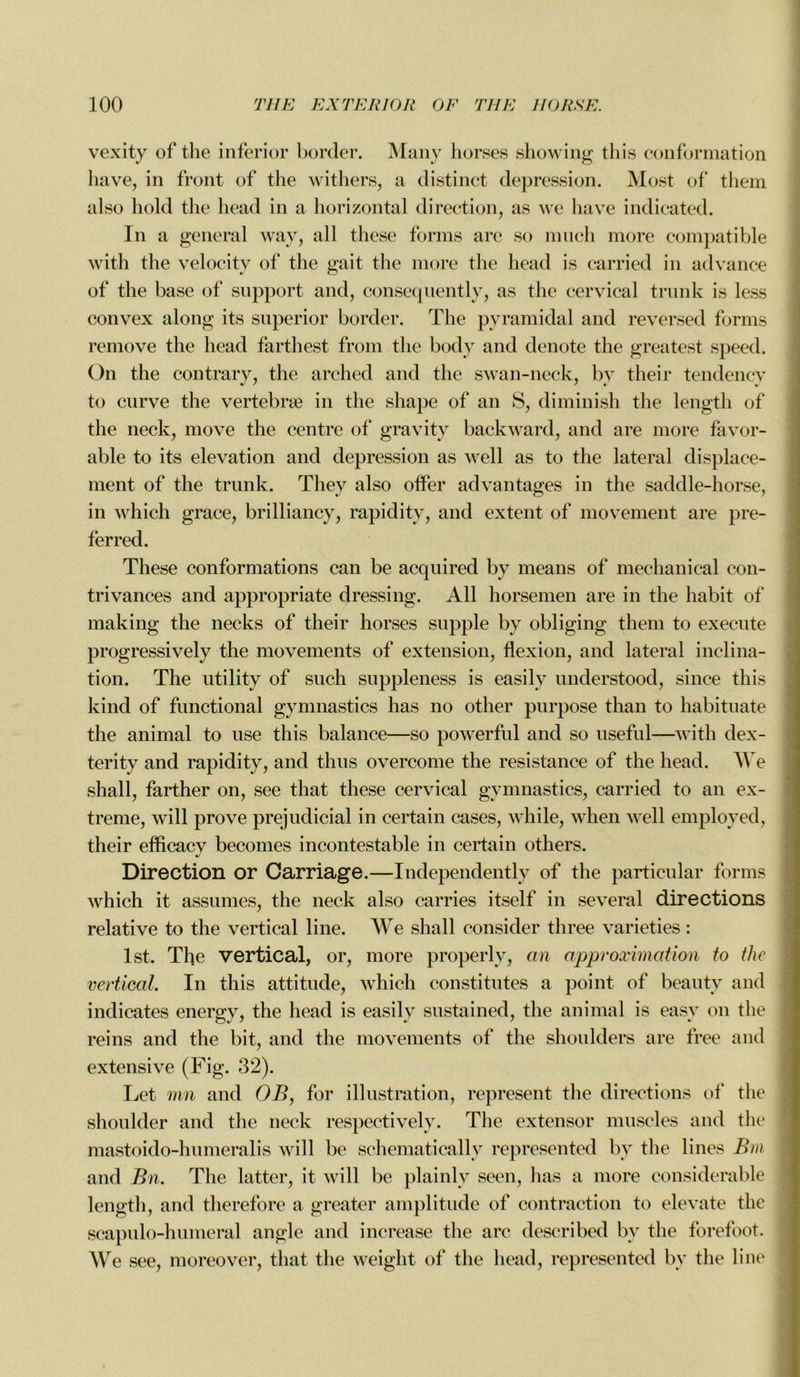 vexity of the inferior border. Many horses showing this conformation hâve, in front of the withers, a distinct dépréssion. Most of tliem also liold the head in a horizontal direction, as we hâve indicated. In a general way, ail these forms are so much more compatible with tlie velocity of the gait the more the head is carried in advance of the base of support and, consequently, as the cervical trunk is less convex along its superior border. The pyramidal and reversed forms remove the head farthest from the body and dénoté the greatest speed. On the contrary, the arched and the swan-neck, bv their tendency to curve the vertebræ in the shape of an S, diminish the length of the neck, move the centre of gravity backward, and are more favor- able to its élévation and dépréssion as well as to the latéral displace- ment of the trunk. They also offer advantages in the saddle-horse, in which grâce, brilliancy, rapidity, and extent of movement are pre- ferred. These conformations can be acquired by means of mechanical con- trivances and appropriate dressing. Ail horsemen are in the habit of making the necks of their horses supple bv obliging them to execute progressively the movements of extension, flexion, and latéral inclina- tion. The utility of such suppleness is easily understood, since this kind of functional gymnastics lias no other purpose than to habituate the animal to use this balance—so powerful and so useful—with dex- terity and rapidity, and thus overcome the résistance of the head. We shall, farther on, see that these cervical gymnastics, carried to an ex- trême, Avili prove préjudiciai in certain cases, while, when well employed, their efficacy becomes incontestable in certain others. Direction or Carriage.—Independently of the particular forms which it assumes, the neck also carries itself in several directions relative to the vertical line. We shall consider three varieties : lst. The vertical, or, more properlv, an approximation to the vertical. In this attitude, which constitutes a point of beauty and indicates energy, the head is easily sustained, the animal is easv on the reins and the bit, and the movements of the shoulders are free and extensive (Fig. 32). Let mn and OB, for illustration, represent the directions of the shoulder and tlie neck respectively. The extensor muscles and the mastoido-hunieraiis will be schematically represented by tlie lines Bin and Bn. The latter, it will be plainly seen, lias a more considérable length, and therefore a greater amplitude of contraction to elevate the scapulo-humeral angle and increase tlie arc described bv the forefoot. We see, moreover, that the weiglit of the head, represented by the line