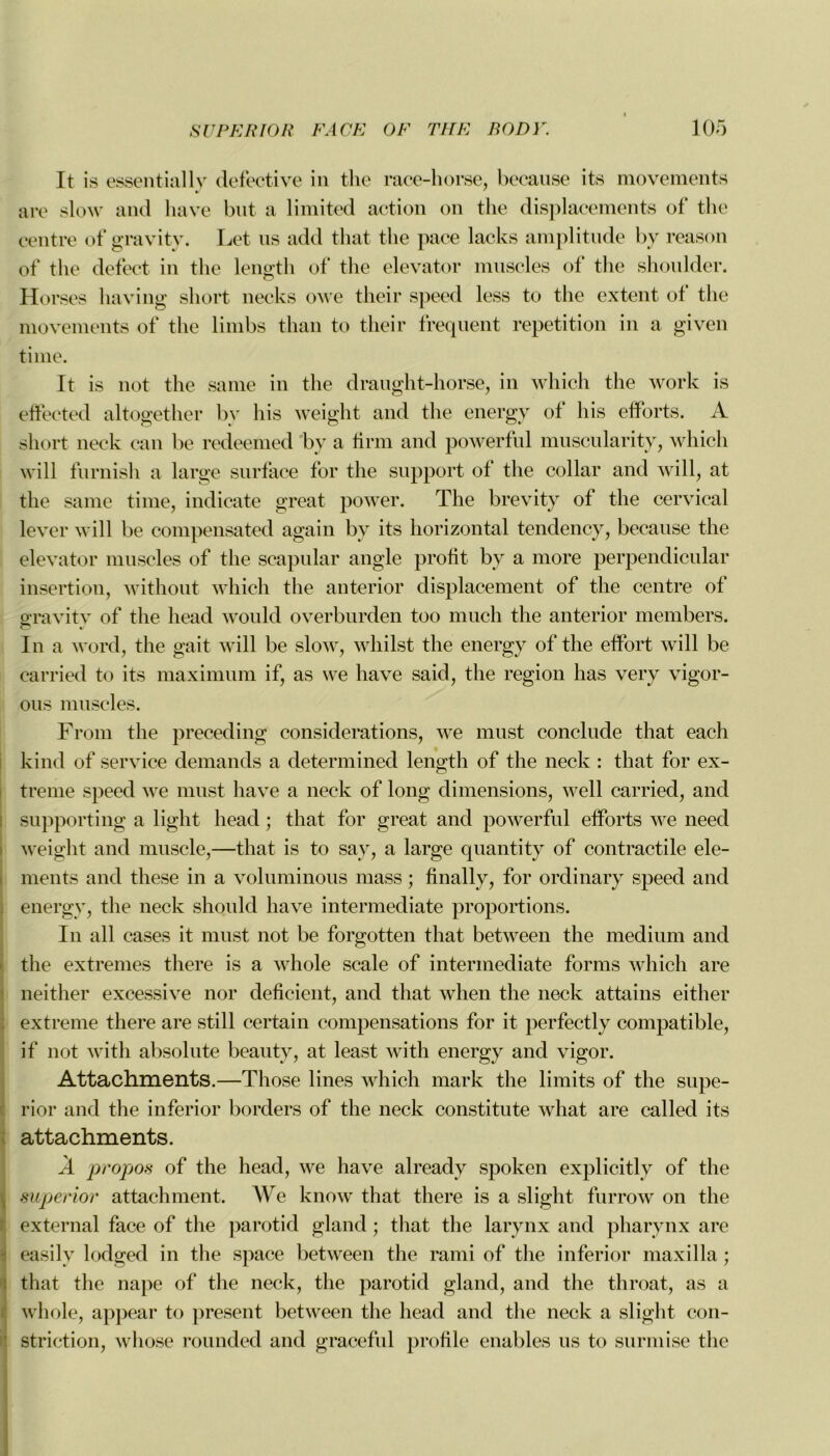 It is essentially defective in the race-h orse, because its movements are slow and hâve but a limited action on the displacements of the centre of gravity. Let us add that the paee lacks amplitude by reason of the defect in the length of the elevator muscles of the shoulder. Horses having short necks owe their speed less to the extent ot the movements of the limbs tlian to their frequent répétition in a given time. It is not the sa me in the draught-horse, in wliich the work is effected altogether by his weight and the energy of his efforts. A short neck can be redeemed by a firm and powerful muscularity, whieli will furnish a large surface for the support of the collar and will, at the same time, indicate great power. The brevity of the cervical lever will be compensated again by its horizontal tendency, because the elevator muscles of the scapular angle profit bv a more perpendicular insertion, without which the anterior displacement of the centre of gravite of the head would overburden too much the anterior members. In a word, the gait will be slow, whilst the energy of the effort will be carried to its maximum if, as we hâve said, the région lias very vigor- ous muscles. From the preceding considérations, we must conclude that each kind of service demands a determined length of the neck : that for ex- trême speed we must hâve a neck of long dimensions, well carried, and supporting a light head ; that for great and powerful efforts we need weight and muscle,—that is to say, a large quantity of contractile élé- ments and these in a voluminous mass ; finally, for ordinary speed and energy, the neck should hâve intermediate proportions. In ail cases it must not be forgotten that between the medium and the extrêmes there is a whole scale of intermediate forms which are neither excessive nor déficient, and that wlien the neck attains either extreme there are still certain compensations for it perfectly compatible, if not with absolute beauty, at least with energy and vigor. Attachments.—Those lines which mark the limits of the supe- rior and the inferior borders of the neck constitute what are called its attachments. A propos of the head, we hâve already spoken explicitly of the imperior attachaient. We know that there is a slight furrow on the external face of the parotid gland ; that the larynx and pharynx are easilv lodged in the space between the rami of the inferior maxilla ; that the nape of the neck, the parotid gland, and the throat, as a whole, appear to présent between the head and the neck a slight con- striction, whose rounded and graceful profile enables us to surmise the