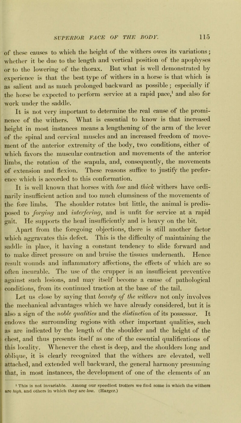 of these causes to which the height of the withers owes its variations ; whether it be due to the length and vertical position of the apophyses or to the lowering of the thorax. But what is well demonstrated by expérience is that the best type of withers in a horse is that which is as salient and as much prolonged backward as possible ; especially if the horse be expected to perforai service at a rapid pace,1 and also for work under tlie saddle. It is not very important to détermine the real cause of the promi- nence of the withers. What is essential to know is that increased height in most instances means a lengthening of the arm of the lever of the spinal and cervical muscles and an increased freedom of move- ment of the anterior extremity of the body, two conditions, either of which favors the muscular contraction and movements of the anterior limbs, the rotation of the scapula, and, consequently, the movements of extension and flexion. These reasons suffice to justify the préfér- ence which is accorded to tliis conformation. It is well known that horses with low and thich withers hâve ordi- narily insufficient action and too much clumsiness of the movements of the fore limbs. The shoulder rotâtes but little, the animal is predis- posed to forging and interfering, and is unfit for service at a rapid gait. He supports the head insufficiently and is heavy on the bit. Apart from the foregoing objections, there is still another factor which aggravâtes this defect. This is the difficulty of maintaining the saddle in place, it having a constant tendency to slide forward and to make direct pressure on and bruise the tissues underneath. Hence result wounds and inflammatory affections, the effects of which are so often incurable. The use of the crupper is an insufficient préventive against such lésions, and may itself become a cause of pathological conditions, from its continued traction at the base of the tail. Let us close by saving that becvuty of the withers not only in volves the mechanical advantages which we hâve already considered, but it is also a sign of the noble qualities and the distinction of its possessor. It endows the surrounding régions with other important qualities, such as are indicated by the length of the shoulder and the height of the ehest, and thus présents itself as one of the essential qualifications of this locality. Whenever the chest is deep, and the shoulders long and oblique, it is clearly recognized that the withers are elevated, well attachcd, and extcnded well backward, the general harmony presuming that, in most instances, the development of one of the éléments of an 1 This is not invariable. Among our speediest trotters we find some in which the withers are high, and others in which they are low. (Ilarger.)