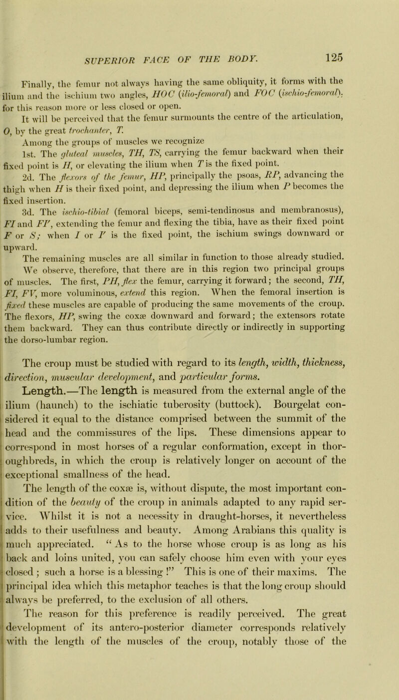 Finally, the fémur not always having the same obliquity, it forms with the ilium and the ischium two angles, HOC (ilio-femoral) and FOC (iischio-fémoral!). for tliis reason more or less closed or open. It will be perceived that the fémur surmounts the centre of the articulation, O, by the great trochanter, T. Among the groups of muscles we recognize Ist. The gtufeal muscles, TH, TS, carrying the fémur backward when tlieir fixed point is H, or elevating the ilium when T\s the tixed point. 2d. The flexors of the fémur, HP, principally the psoas, RP, advancing the thigh when H is their fixed point, and depressing the ilium when P becomes the fixed insertion. 3d. The ùchio-tibial (fémoral biceps, semi-tendinosus and membranosus), FI and FF, extending the fémur and flexing the tibia, hâve as their fixed point F or S; when / or F is the fixed point, the ischium swings downward or upward. The remaining muscles are ail similar in function to those already studied. We observe, therefore, that there are in this région two principal groups of muscles. The first, PH, fl,ex the fémur, carrying it forward ; the second, TH, FI, FV, more voluminous, extend this région. When the fémoral insertion is fixed these muscles are capable of producing the same movements of the croup. The flexors, HP, swing the coxæ downward and forward ; the extensors rotate them backward. They can thus contribute directly or indirectly in supporting the dorso-lumbar région. The croup niust be studied with regard to its length, wiclth, thickness, direction, muscular development, and particular forms. Length.—The length is measured from the external angle of the ilium (haunch) to the ischiatic tuberosity (buttock). Bourgelat con- sidered it equal to the distance comprised between the summit of the head and the commissures of the lips. These dimensions appear to correspond in most horses of a regular conformation, except in thor- oughbreds, in which the croup is relatively longer on account of the exceptional smallness of the head. The length of the coxæ is, without dispute, the most important con- dition of the beauty of the croup in animais adapted to any rapid ser- j yicc. Whilst it is not a necessity in draught-horses, it nevertheless adds to their usefulness and beauty. Among Arabians this quality is much appreciated. “ As to the horse whose croup is as long as lus back and loins united, you can safely choose him even with your eyes closed ; such a horse is a blessing !” This is one of their maxims. The i principal idea which this metaphor teaches is that the long croup sliould always be preferred, to the exclusion of ail others. The reason for this preference is readily perceived. The great development of its antero-posterior diameter corresponds relatively with the length of the muscles of the croup, notably those of the