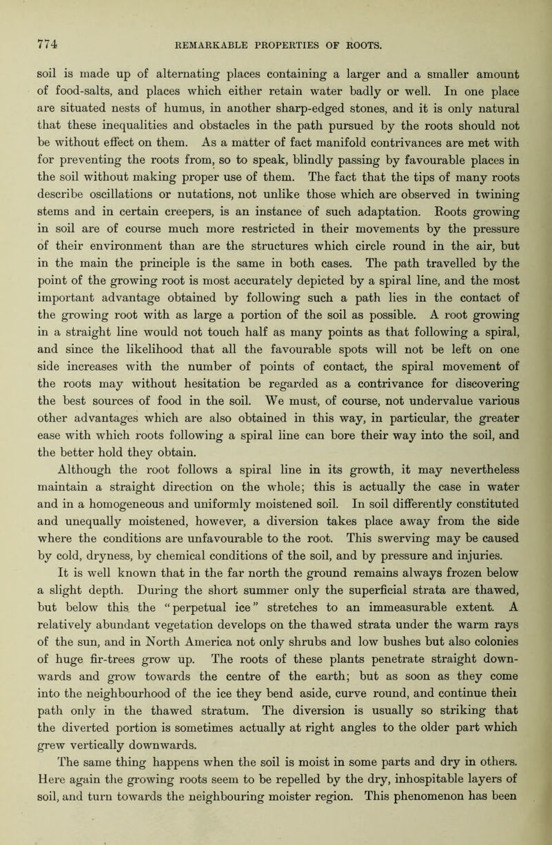 soil is made up of alternating places containing a larger and a smaller amount of food-salts, and places which either retain water badly or well. In one place are situated nests of humus, in another sharp-edged stones, and it is only natural that these inequalities and obstacles in the path pursued by the roots should not be without effect on them. As a matter of fact manifold contrivances are met with for preventing the roots from, so to speak, blindly passing by favourable places in the soil without making proper use of them. The fact that the tips of many roots describe oscillations or nutations, not unlike those which are observed in twining stems and in certain creepers, is an instance of such adaptation. Boots growing in soil are of course much more restricted in their movements by the pressure of their environment than are the structures which circle round in the air, but in the main the principle is the same in both cases. The path travelled by the point of the growing root is most accurately depicted by a spiral line, and the most important advantage obtained by following such a path lies in the contact of the growing root with as large a portion of the soil as possible. A root growing in a straight line would not touch half as many points as that following a spiral, and since the likelihood that all the favourable spots will not be left on one side increases with the number of points of contact, the spiral movement of the roots may without hesitation be regarded as a contrivance for discovering the best sources of food in the soil. We must, of course, not undervalue various other advantages which are also obtained in this way, in particular, the greater ease with which roots following a spiral line can bore their way into the soil, and the better hold they obtain. Although the root follows a spiral line in its growth, it may nevertheless maintain a straight direction on the whole; this is actually the case in water and in a homogeneous and uniformly moistened soil. In soil differently constituted and unequally moistened, however, a diversion takes place away from the side where the conditions are unfavourable to the root. This swerving may be caused by cold, dryness, by chemical conditions of the soil, and by pressure and injuries. It is well known that in the far north the ground remains always frozen below a slight depth. During the short summer only the superficial strata are thawed, but below this the “ perpetual ice ” stretches to an immeasurable extent. A relatively abundant vegetation develops on the thawed strata under the warm rays of the sun, and in North America not only shrubs and low bushes but also colonies of huge fir-trees grow up. The roots of these plants penetrate straight down- wards and grow towards the centre of the earth; but as soon as they come into the neighbourhood of the ice they bend aside, curve round, and continue theii path only in the thawed stratum. The diversion is usually so striking that the diverted portion is sometimes actually at right angles to the older part which grew vertically downwards. The same thing happens when the soil is moist in some parts and dry in others. Here again the growing roots seem to be repelled by the dry, inhospitable layers of soil, and turn towards the neighbouring moister region. This phenomenon has been