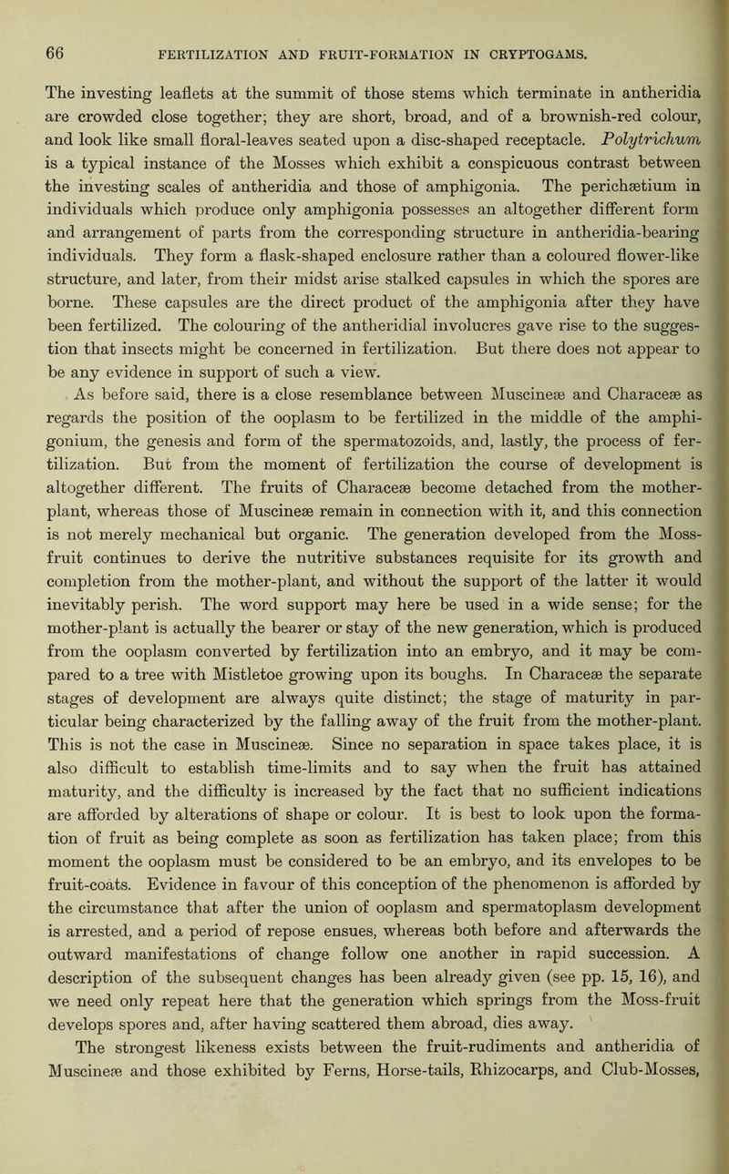 The investing leaflets at the summit of those stems which terminate in antheridia are crowded close together; they are short, broad, and of a brownish-red colour, and look like small floral-leaves seated upon a disc-shaped receptacle. Polytrichum is a typical instance of the Mosses which exhibit a conspicuous contrast between the investing scales of antheridia and those of amphigonia. The perichsetium in individuals which produce only amphigonia possesses an altogether different form and arrangement of parts from the corresponding structure in antheridia-bearing individuals. They form a flask-shaped enclosure rather than a coloured flower-like structure, and later, from their midst arise stalked capsules in which the spores are borne. These capsules are the direct product of the amphigonia after they have been fertilized. The colouring of the antheridial involucres gave rise to the sugges- tion that insects might be concerned in fertilization. But there does not appear to be any evidence in support of such a view. As before said, there is a close resemblance between Muscinege and Characese as regards the position of the ooplasm to be fertilized in the middle of the amphi- gonium, the genesis and form of the spermatozoids, and, lastly, the process of fer- tilization. But from the moment of fertilization the course of development is altogether different. The fruits of Characeas become detached from the mother- plant, whereas those of Muscinese remain in connection with it, and this connection is not merely mechanical but organic. The generation developed from the Moss- fruit continues to derive the nutritive substances requisite for its growth and completion from the mother-plant, and without the support of the latter it would inevitably perish. The word support may here be used in a wide sense; for the mother-plant is actually the bearer or stay of the new generation, which is produced from the ooplasm converted by fertilization into an embryo, and it may be com- pared to a tree with Mistletoe growing upon its boughs. In Characese the separate stages of development are always quite distinct; the stage of maturity in par- ticular being characterized by the falling away of the fruit from the mother-plant. This is not the case in Muscineae. Since no separation in space takes place, it is also difficult to establish time-limits and to say when the fruit has attained maturity, and the difficulty is increased by the fact that no sufficient indications are afforded by alterations of shape or colour. It is best to look upon the forma- tion of fruit as being complete as soon as fertilization has taken place; from this moment the ooplasm must be considered to be an embryo, and its envelopes to be fruit-coats. Evidence in favour of this conception of the phenomenon is afforded by the circumstance that after the union of ooplasm and spermatoplasm development is arrested, and a period of repose ensues, whereas both before and afterwards the outward manifestations of change follow one another in rapid succession. A description of the subsequent changes has been already given (see pp. 15, 16), and we need only repeat here that the generation which springs from the Moss-fruit develops spores and, after having scattered them abroad, dies away. The strongest likeness exists between the fruit-rudiments and antheridia of Muscineae and those exhibited by Ferns, Horse-tails, Rhizocarps, and Club-Mosses,