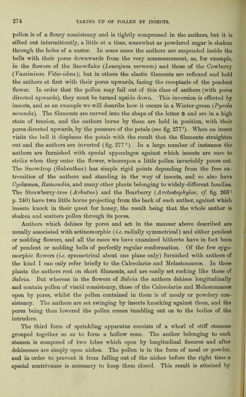 pollen is of a floury consistency and is tightly compressed in the anthers, but it is sifted out intermittently, a little at a time, somewhat as powdered sugar is shaken through the holes of a castor. In some cases the anthers are suspended inside the bells with their pores downwards from the very commencement, as, for example, in the flowers of the Snowflake (Leucojum vernum) and those of the Cowberry (Vaccinium Vitis-idcea)] but in others the elastic filaments are reflexed and hold the anthers at first with their pores upwards, facing the receptacle of the pendent flower. In order that the pollen may fall out of this class of anthers (with pores directed upwards), they must be turned upside down. This inversion is effected by insects, and as an example we will describe how it occurs in a Winter-green (Pyrola secunda). The filaments are curved into the shape of the letter S and are in a high state of tension, and the anthers borne by them are held in position, with their pores directed upwards, by the pressure of the petals (see fig. 2777). When an insect visits the bell it displaces the petals with the result that the filaments straighten out and the anthers are inverted (fig. 277 8). In a large number of instances the anthers are furnished with special appendages against which insects are sure to strike when they enter the flower, whereupon a little pollen invariably pours out. The Snowdrop (Galanthus) has simple rigid points depending from the free ex- tremities of the anthers and standing in the way of insects, and so also have Cyclamen, Ramondia, and many other plants belonging to widely-different families. The Strawberry-tree (Arbutus) and the Bearberry (Arctostaphylos; cf. fig. 2631 p. 240) have two little horns projecting from the back of each anther, against which insects knock in their quest for honey, the result being that the whole anther is shaken and scatters pollen through its pores. Anthers which dehisce by pores and act in the manner above described are usually associated with actinomorphic (i.e. radially symmetrical) and either pendent or nodding flowers, and all the cases we have examined hitherto have in fact been of pendent or nodding bells of perfectly regular conformation. Of the few zygo- morphic flowers (i.e. symmetrical about one plane only) furnished with anthers of the kind I can only refer briefly to the Calceolaria and Melastomaceae. In these plants the anthers rest on short filaments, and are easily set rocking like those of Salvia. But whereas in the flowers of Salvia the anthers dehisce longitudinally and contain pollen of viscid consistency, those of the Calceolarise and Melastomaceae open by pores, whilst the pollen contained in them is of mealy or powdery con- sistency. The anthers are set swinging by insects knocking against them, and the pores being thus lowered the pollen comes tumbling out on to the bodies of the intruders. The third form of sprinkling apparatus consists of a whorl of stiff stamens grouped together so as to form a hollow cone. The anther belonging to each stamen is composed of two lobes which open by longitudinal fissures and after dehiscence are simply open niches. The pollen is in the form of meal or powder, and in order to prevent it from falling out of the niches before the right time a special contrivance is necessary to keep them closed. This result is attained by