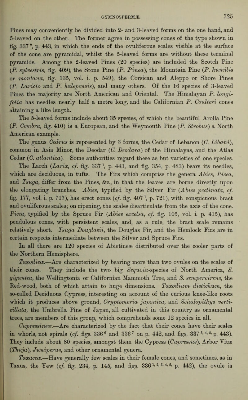 Pines may conveniently be divided into 2- and 3-leaved forms on the one hand, and 5-leaved on the other. The former agree in possessing cones of the type shown in fig. 337 2, p. 443, in which the ends of the ovuliferous scales visible at the surface of the cone are pyramidal, whilst the 5-leaved forms are without these terminal pyramids. Among the 2-leaved Pines (20 species) are included the Scotch Pine (P. sylvestris, fig. 409), the Stone Pine (P. Pined), the Mountain Pine (P. humilis or montana, fig. 135, vol. i. p. 549), the Corsican and Aleppo or Shore Pines (P. Laricio and P. halepensis), and many others. Of the 16 species of 3-leaved Pines the majority are North American and Oriental. The Himalayan P. longi- folia has needles nearly half a metre long, and the Californian P. Coulteri cones attaining a like length. The 5-leaved forms include about 35 species, of which the beautiful Arolla Pine (P- Cernbra, fig. 410) is a European, and the Weymouth Pine (P. Strobus) a North American example. The genus Cedrus is represented by 3 forms, the Cedar of Lebanon (C. Libani), common in Asia Minor, the Deodar (C. Deodara) of the Himalayas, and the Atlas Cedar (C. atlantica). Some authorities regard these as but varieties of one species. The Larch (Larix, cf. fig. 337 4, p. 443, and fig. 354, p. 483) bears its needles, which are deciduous, in tufts. The Firs which comprise the genera Abies, Picea, and Tsuga, differ from the Pines, &c., in that the leaves are borne directly upon the elongating branches. Abies, typified by the Silver Fir (Abies pectinata, cf. fig. 177, vol. i. p. 717), has erect cones (cf. fig. 407 1, p. 721), with conspicuous bract and ovuliferous scales; on ripening, the scales disarticulate from the axis of the cone. Picea, typified by the Spruce Fir (Abies excelsa, cf. fig. 105, vol. i. p. 415), has pendulous cones, with persistent scales, and, as a rule, the bract scale remains relatively short. Tsuga Douglasii, the Douglas Fir, and the Hemlock Firs are in certain respects intermediate between the Silver and Spruce Firs. In all there are 120 species of Abietinese distributed over the cooler parts of the Northern Hemisphere. Taxodiece.-—Are characterized by bearing more than two ovules on the scales of their cones. They include the two big Sequoia-species of North America, S. gigantea, the Wellingtonia or Californian Mammoth Tree, and S. sempervirens, the Red-wood, both of which attain to huge dimensions. Taxodium distichum, the so-called Deciduous Cypress, interesting on account of the curious knee-like roots which it produces above ground, Cryptomeria japonica, and Sciadopithys verti- cillata, the Umbrella Pine of Japan, all cultivated in this country as ornamental trees, are members of this group, which comprehends some 12 species in all. Cupressinece.—Are characterized by the fact that their cones have their scales in whorls, not spirals (cf. figs. 336 6 and 3367 on p. 442, and figs. 337 3< 4-5i p. 443). They include about 80 species, amongst them the Cypress (Cuptressus), Arbor Vitae (Thuja), Juniperus, and other ornamental genera. Taxacece.—Have generally few scales in their female cones, and sometimes, as in Taxus, the Yew (cf. fig. 234, p. 145, and figs. 3361] 2| 3> 4>6> p. 442), the ovule is