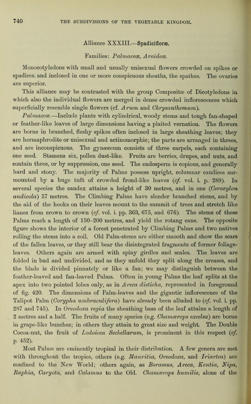 Alliance XXXIII.—Spadiciflorge. Families: Palmacece, Aroidece. Monocotyledons with small and usually unisexual flowers crowded on spikes or spadices, and inclosed in one or more conspicuous sheaths, the spathes. The ovaries are superior. This alliance may be contrasted with the group Composite of Dicotyledons in which also the individual flowers are merged in dense crowded inflorescences which superficially resemble single flowers (cf. Arum and Chrysanthemum). Palmacece.—Include plants with cylindrical, woody stems and tough fan-shaped or feather-like leaves of large dimensions having a plaited vernation. The flowers are borne in branched, fleshy spikes often inclosed in large sheathing leaves; they are hermaphrodite or unisexual and actinomorphic; the parts are arranged in threes, and are inconspicuous. The gynseceum consists of three carpels, each containing one seed. Stamens six, pollen dust-like. Fruits are berries, drupes, and nuts, and contain three, or by suppression, one seed. The endosperm is copious, and generally hard and stony. The majority of Palms possess upright, columnar caudices sur- mounted by a huge tuft of crowded frond-like leaves (cf. vol. i. p. 289). In several species the caudex attains a height of 30 metres, and in one (Ceroxylon andicola) 57 metres. The Climbing Palms have slender branched stems, and by the aid of the hooks on their leaves mount to the summit of trees and stretch like lianes from crown to crown (cf. vol. i. pp. 363, 675, and 676). The stems of these Palms reach a length of 150-200 metres, and yield the rotang cane. The opposite figure shows the interior of a forest penetrated by Climbing Palms and two natives rolling the stems into a coil. Old Palm-stems are either smooth and show the scars of the fallen leaves, or they still bear the disintegrated fragments of former foliage- leaves. Others again are armed with spiny girdles and scales. The leaves are folded in bud and undivided, and as they unfold they split along the creases, and the blade is divided pinnately or like a fan; we may distinguish between the feather-leaved and fan-leaved Palms. Often in young Palms the leaf splits at the apex into two pointed lobes only, as in Areca disticha, represented in foreground of fig. 420. The dimensions of Palm-leaves and the gigantic inflorescence of the Talipot Palm (Corypha umbraculifera) have already been alluded to (cf. vol. i. pp. 287 and 745). In Oreodoxa regia the sheathing base of the leaf attains a length of 2 metres and a half. The fruits of many species (e.g. Chamcerops excelsa) are borne in grape-like bunches; in others they attain to great size and weight. The Double Cocoa-nut, the fruit of Lodoicea Sechellarum, is prominent in this respect (cf. p. 452). Most Palms are eminently tropical in their distribution. A few genera are met with throughout the tropics, others (e.g. Mauritia, Oreodoxa, and Iriartea) are confined to the New World; others again, as Borassus, Areca, Kentia, Nipa, Raphia, Caryota, and Calamus to the Old. Chamcerops humilis, alone of the
