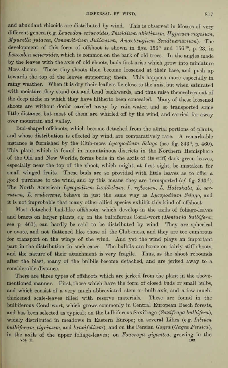 and abundant rhizoids are distributed by wind. This is observed in Mosses of very different genera (e.g. Leucodon sciuroides, Thuidium abietinum, Hypnum rugosum, Myurella julacea, Conomitrium Julianum, Ancectangium Sendtnerianum). The development of this form of offshoot is shown in figs. 1569 and 156 10, p. 23, in Leucodon sciuroides, which is common on the bark of old trees. In the angles made by the leaves with the axis of old shoots, buds first arise which grow into miniature Moss-shoots. These tiny shoots then become loosened at their base, and push up towards the top of the leaves supporting them. This happens more especially in rainy weather. When it is dry their leaflets lie close to the axis, but when saturated with moisture they stand out and bend backwards, and thus raise themselves out of the deep niche in which they have hitherto been concealed. Many of these loosened shoots are without doubt carried away by rain-water, and so transported some little distance, but most of them are whirled off by the wind, and carried far away over mountain and valley. Bud-shaped offshoots, which become detached from the aerial portions of plants, and whose distribution is effected by wind, are comparatively rare. A remarkable instance is furnished by the Club-moss Lycopodium Selago (see fig. 343 2, p. 460). This plant, which is found in mountainous districts in the Northern Hemisphere of the Old and New Worlds, forms buds in the axils of its stiff, dark-green leaves, especially near the top of the shoot, which might, at first sight, be mistaken for small winged fruits. These buds are so provided with little leaves as to offer a good purchase to the wind, and by this means they are transported (cf. fig. 3435). The North American Lycopodiu/m lucidulum, L. reflexum, L. Halealcala, L. ser- ratum, L. erubescens, behave in just the same way as Lycopodium Selago, and it is not improbable that many other allied species exhibit this kind of offshoot. Most detached bud-like offshoots, which develop in the axils of foliage-leaves and bracts on larger plants, e.g. on the bulbiferous Coral-wort (Dentaria bulbifera; see p. 461), can hardly be said to be distributed by wind. They are spherical or ovate, and not flattened like those of the Club-moss, and they are too cumbrous for transport on the wings of the wind. And yet the wind plays an important part in the distribution in such cases. The bulbils are borne on fairly stiff shoots, and the nature of their attachment is very fragile. Thus, as the shoot rebounds after the blast, many of the bulbils become detached, and are jerked away to a considerable distance. There are three types of offshoots which are jerked from the plant in the above- mentioned manner. First, those which have the form of closed buds or small bulbs, and which consist of a very much abbreviated stem or bulb-axis, and a few much- thickened scale-leaves filled with reserve materials. These are found in the bulbiferous Coral-wort, which grows commonly in Central European Beech forests, and has been selected as typical; on the bulbiferous Saxifrage (Saxifraga bulbifera), widely distributed in meadows in Eastern Europe; on several Lilies (e.g. Lilium bulbiferum, tigrinum, and lancifolium); and on the Persian Gagea (Gagea Persica), in the axils of the upper foliage-leaves; on Foucroya gigantea, growing in the VOL. II. 102