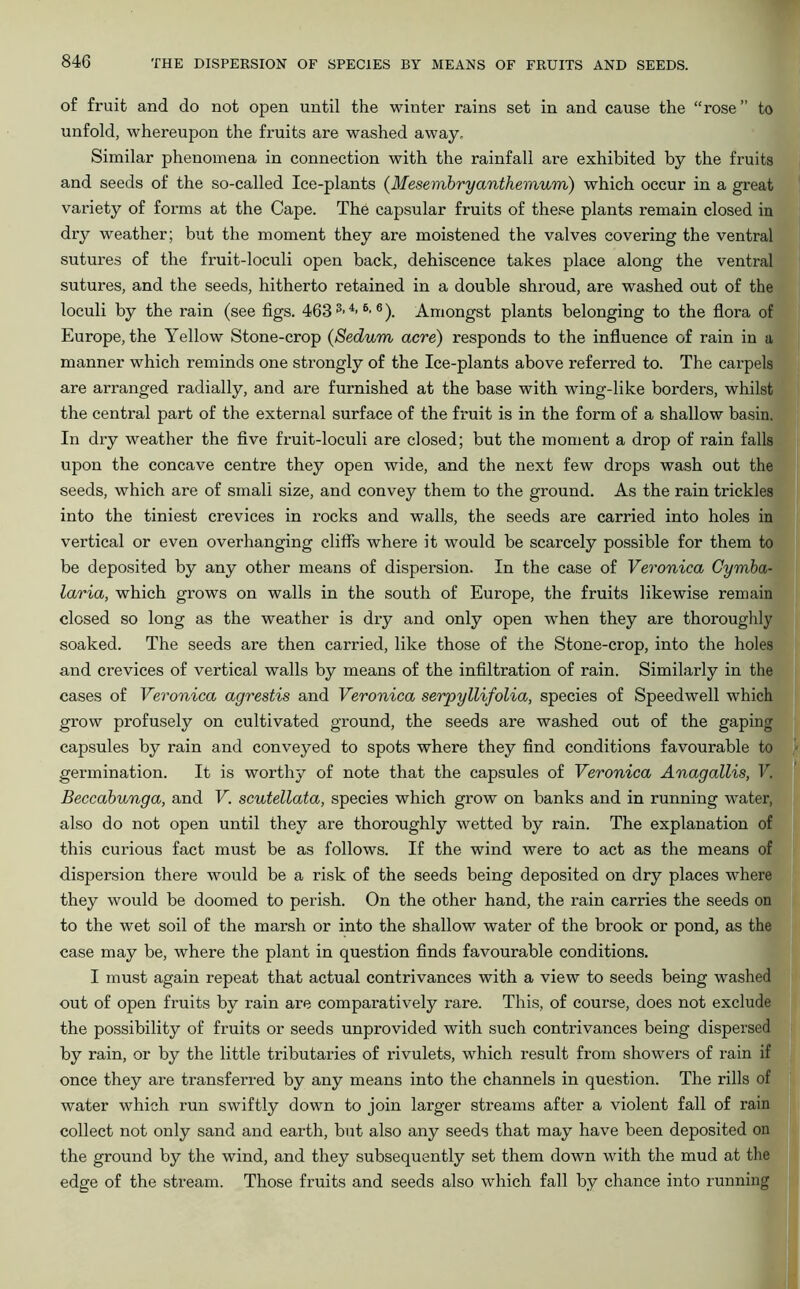 of fruit and do not open until the winter rains set in and cause the “rose” to unfold, whereupon the fruits are washed away. Similar phenomena in connection with the rainfall are exhibited by the fruits and seeds of the so-called Ice-plants (Mesembryanthemum) which occur in a great variety of forms at the Cape. The capsular fruits of these plants remain closed in dry weather; but the moment they are moistened the valves covering the ventral sutures of the fruit-loculi open back, dehiscence takes place along the ventral sutures, and the seeds, hitherto retained in a double shroud, are washed out of the loculi by the rain (see figs. 463 3>4-6-6). Amongst plants belonging to the flora of Europe, the Yellow Stone-crop (Sedum acre) responds to the influence of rain in a manner which reminds one strongly of the Ice-plants above referred to. The carpels are arranged radially, and are furnished at the base with wing-like borders, whilst the central part of the external surface of the fruit is in the form of a shallow basin. In dry weather the five fruit-loculi are closed; but the moment a drop of rain falls upon the concave centre they open wide, and the next few drops wash out the seeds, which are of small size, and convey them to the ground. As the rain trickles into the tiniest crevices in rocks and walls, the seeds are carried into holes in vertical or even overhanging cliffs where it would be scarcely possible for them to be deposited by any other means of dispersion. In the case of Veronica Cymba- laria, which grows on walls in the south of Europe, the fruits likewise remain closed so long as the weather is dry and only open when they are thoroughly soaked. The seeds are then carried, like those of the Stone-crop, into the holes and crevices of vertical walls by means of the infiltration of rain. Similarly in the cases of Veronica agrestis and Veronica serpyllifolia, species of Speedwell which grow profusely on cultivated ground, the seeds are washed out of the gaping capsules by rain and conveyed to spots where they find conditions favourable to germination. It is worthy of note that the capsules of Veronica Anagallis, V. Beccabunga, and V. scutellata, species which grow on banks and in running water, also do not open until they are thoroughly wetted by rain. The explanation of this curious fact must be as follows. If the wind were to act as the means of dispersion there would be a risk of the seeds being deposited on dry places where they would be doomed to perish. On the other hand, the rain carries the seeds on to the wet soil of the marsh or into the shallow water of the brook or pond, as the case may be, where the plant in question finds favourable conditions. I must again repeat that actual contrivances with a view to seeds being washed out of open fruits by rain are comparatively rare. This, of course, does not exclude the possibility of fruits or seeds unprovided with such contrivances being dispersed by rain, or by the little tributaries of rivulets, which result from showers of rain if once they are transferred by any means into the channels in question. The rills of water which run swiftly down to join larger streams after a violent fall of rain collect not only sand and earth, but also any seeds that may have been deposited on the ground by the wind, and they subsequently set them down with the mud at the edge of the stream. Those fruits and seeds also which fall by chance into running