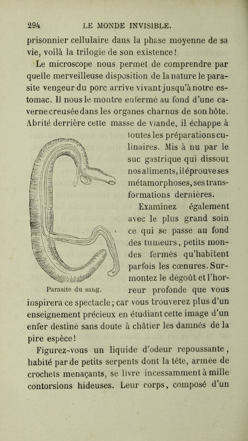 prisonnier cellulaire dans la phase moyenne de sa vie, voilà la trilogie de son existence! Le microscope nous permet de comprendre par quelle merveilleuse disposition de la nature le para- site vengeur du porc arrive vivant jusqu’à notre es- tomac. Il nous le montre enfermé au fond d’une ca- verne creusée dans les organes charnus de son hôte. Abrité derrière cette masse de viande, il échappe à loutesles préparations cu- linaires. Mis à nu par le suc gastrique qui dissout nos aliments, iléprouveses métamorphoses, ses trans- formations dernières. Examinez également avec le plus grand soin ce qui se passe au fond des tumeurs, petits mon- des fermés qu’habitent parfois les cœnures. Sur- montez le dégoût et l’hor- reur profonde que vous inspirera ce spectacle ; car vous trouverez plus d’un enseignement précieux en étudiant cette image d’un enfer destiné sans doute à châtier les damnés de la pire espèce! Figurez-vous un liquide d’odeur repoussante, habité par de petits serpents dont la tête, armée de crochets menaçants, se livre incessamment à mille contorsions hideuses. Leur corps, composé d’un