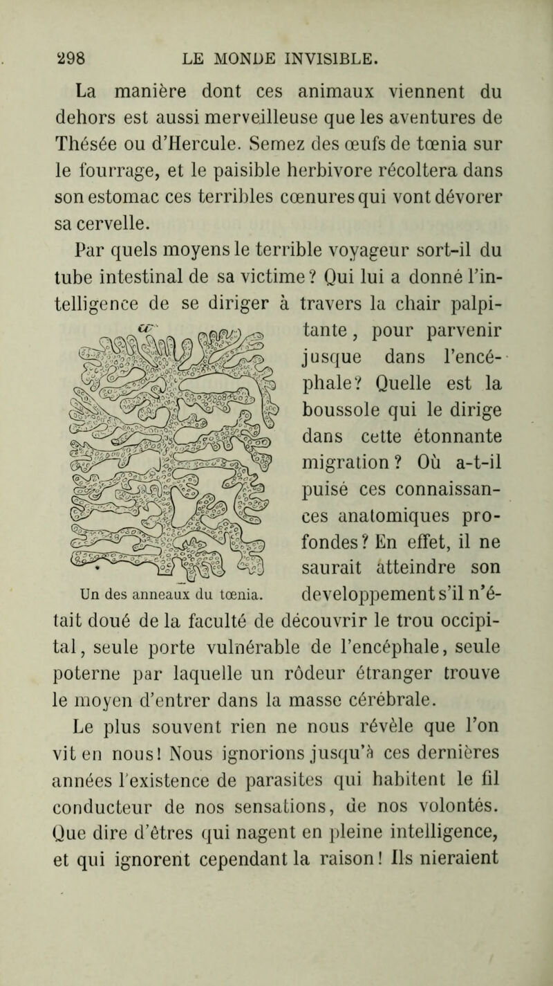 La manière dont ces animaux viennent du dehors est aussi merveilleuse que les aventures de Thésée ou d’Hercule. Semez des œufs de tœnia sur le fourrage, et le paisible herbivore récoltera dans son estomac ces terribles cœnuresqui vont dévorer sa cervelle. Par quels moyens le terrible voyageur sort-il du tube intestinal de sa victime ? Qui lui a donné Fin- telligence de se diriger à travers la chair palpi- tante , pour parvenir jusque dans l’encé- phale? Quelle est la boussole qui le dirige dans cette étonnante migration ? Où a-t-il puisé ces connaissan- ces anatomiques pro- fondes ? En effet, il ne saurait atteindre son développement s’il n’é- tait doué de la faculté de découvrir le trou occipi- tal, seule porte vulnérable de l’encéphale, seule poterne par laquelle un rôdeur étranger trouve le moyen d’entrer dans la masse cérébrale. Le plus souvent rien ne nous révèle que l’on vit en nousl Nous ignorions jusqu’à ces dernières années l’existence de parasites qui habitent le fil conducteur de nos sensations, de nos volontés. Que dire d’êtres qui nagent en pleine intelligence, et qui ignorent cependant la raison ! Ils nieraient