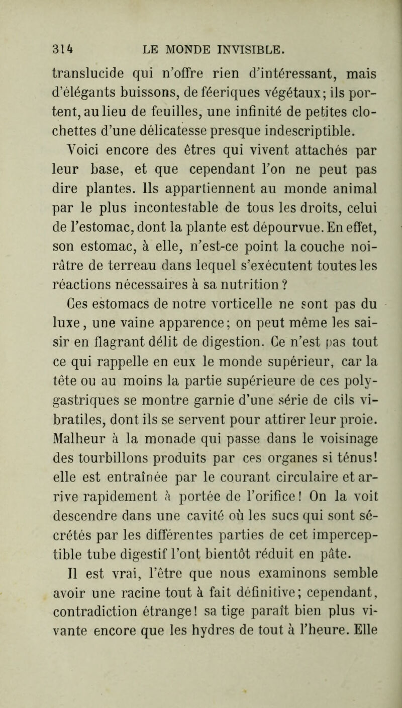translucide qui n’offre rien d’intéressant, mais d’élégants buissons, de féeriques végétaux; ils por- tent, au lieu de feuilles, une infinité de petites clo- chettes d’une délicatesse presque indescriptible. Voici encore des êtres qui vivent attachés par leur base, et que cependant l’on ne peut pas dire plantes. Ils appartiennent au monde animal par le plus incontestable de tous les droits, celui de l’estomac, dont la plante est dépourvue. En effet, son estomac, à elle, n’est-ce point la couche noi- râtre de terreau dans lequel s’exécutent toutes les réactions nécessaires à sa nutrition ? Ces estomacs de notre vorticelle ne sont pas du luxe, une vaine apparence; on peut même les sai- sir en flagrant délit de digestion. Ce n’est pas tout ce qui rappelle en eux le monde supérieur, car la tête ou au moins la partie supérieure de ces poly- gastriques se montre garnie d’une série de cils vi- bratiles, dont ils se servent pour attirer leur proie. Malheur à la monade qui passe dans le voisinage des tourbillons produits par ces organes si ténus! elle est entraînée par le courant circulaire et ar- rive rapidement à portée de l’orifice ! On la voit descendre dans une cavité où les sucs qui sont sé- crétés par les différentes parties de cet impercep- tible tube digestif l’ont bientôt réduit en pâte. Il est vrai, l’être que nous examinons semble avoir une racine tout à fait définitive; cependant, contradiction étrange ! sa tige paraît bien plus vi- vante encore que les hydres de tout à l’heure. Elle