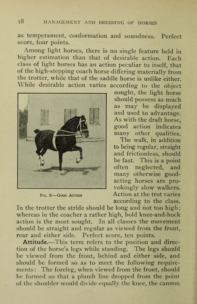 as temperament, conformation and soundness. Perfect score, four points. Among light horses, there is no single feature held in higher estimation than that of desirable action. Each class of light horses has an action peculiar to itself, that of the high-stepping coach horse differing materially from the trotter, while that of the saddle horse is unlike either. While desirable action varies according to the object sought, the light horse should possess as much as may be displayed and used to advantage. As with the draft horse, good action indicates many other qualities. The walk, in addition to being regular, straight and frictionless, should be fast. This is a point often neglected, and many otherwise good- acting horses are pro- vokingly slow walkers. Action at the trot varies according to the class. In the trotter the stride should be long and not too high; whereas in the coacher a rather high, bold knee-and-hock action is the most sought. In all classes the movement should be straight and regular as viewed from the front, rear and either side. Perfect score, ten points. Attitude.—This term refers to the position and direc- tion of the horse’s legs while standing. The legs should be viewed from the front, behind and either side, and should be formed so as to meet the following require- ments : The foreleg, when viewed from the front, should be formed so that a plumb line dropped from the point of the shoulder would divide equally the knee, the cannon