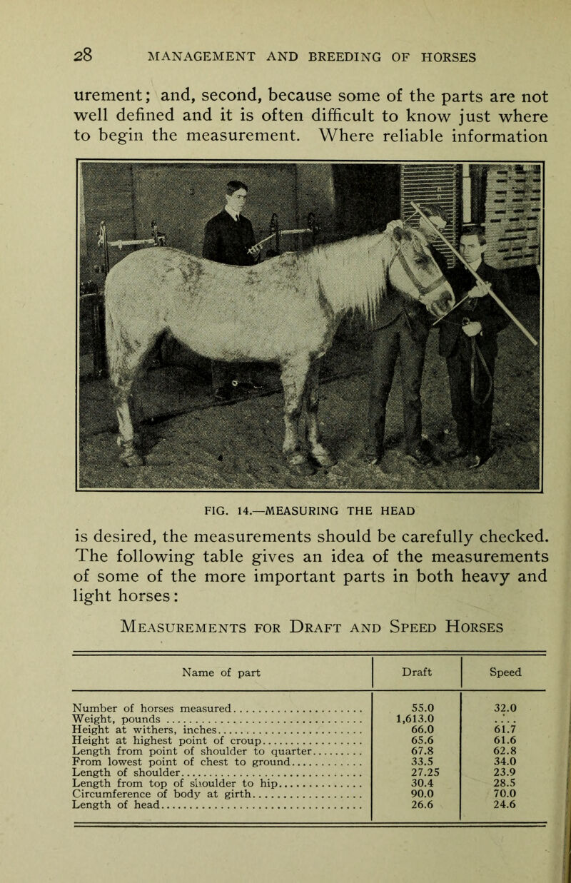 urement; and, second, because some of the parts are not well defined and it is often difficult to know just where to begin the measurement. Where reliable information FIG. 14.—MEASURING THE HEAD is desired, the measurements should be carefully checked. The following table gives an idea of the measurements of some of the more important parts in both heavy and light horses: Measurements for Draft and Speed Horses Name of part Draft Speed Number of horses measured 55.0 32.0 Weight, pounds 1,613.0 Height at withers, inches 66.0 6L7 Height at highest point of croup 65.6 61.6 Length from point of shoulder to quarter 67.8 62.8 From lowest point of chest to ground 33.5 34.0 Length of shoulder 27.25 23.9 Length from top of shoulder to hip 30.4 28.5 Circumference of body at girth 90.0 70.0 Length of head 26.6 24.6