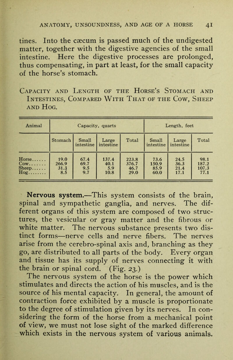 tines. Into the caecum is passed much of the undigested matter, together with the digestive agencies of the small intestine. Here the digestive processes are prolonged, thus compensating, in part at least, for the small capacity of the horse’s stomach. Capacity and Length of the Horse’s Stomach and Intestines, Compared With That of the Cow, Sheep and Hog. Animal Capacity, quarts Length, feet Stomach Small Large Total Small Large Total intestine intestine intestine intestine Horse 19.0 67.4 137.4 223.8 73.6 24.5 98.1 Cow 266.9 69.7 40.1 376.7 150.9 36.3 187.2 Sheep 31.3 9.5 5.9 46.7 85.9 21.4 107.3 Hog 8.5 9.7 10.8 29.0 60.0 17.1 77.1 Nervous system.—This system consists of the brain, spinal and sympathetic ganglia, and nerves. The dif- ferent organs of this system are composed of two struc- tures, the vesicular or gray matter and the fibrous or white matter. The nervous substance presents two dis- tinct forms—nerve cells and nerve fibers. The nerves arise from the cerebro-spinal axis and, branching as they go, are distributed to all parts of the body. Every organ and tissue has its supply of nerves connecting it with the brain or spinal cord. (Fig. 23.) The nervous system of the horse is the power which stimulates and directs the action of his muscles, and is the source of his mental capacity. In general, the amount of contraction force exhibited by a muscle is proportionate to the degree of stimulation given by its nerves. In con- sidering the form of the horse from a mechanical point of view, we must not lose sight of the marked difference which exists in the nervous system of various animals.