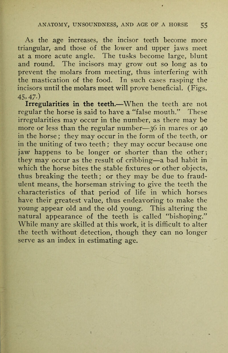 As the age increases, the incisor teeth become more triangular, and those of the lower and upper jaws meet at a more acute angle. The tusks become large, blunt and round. The incisors may grow out so long as to prevent the molars from meeting, thus interfering with the mastication of the food. In such cases rasping the incisors until the molars meet will prove beneficial. (Figs. 45,47-) Irregularities in the teeth.—When the teeth are not regular the horse is said to have a “false mouth.” These irregularities may occur in the number, as there may be more or less than the regular number—36 in mares or 40 in the horse; they may occur in the form of the teeth, or in the uniting of two teeth; they may occur because one jaw happens to be longer or shorter than the other; they may occur as the result of cribbing—a bad habit in which the horse bites the stable fixtures or other objects, thus breaking the teeth; or they may be due to fraud- ulent means, the horseman striving to give the teeth the characteristics of that period of life in which horses have their greatest value, thus endeavoring to make the young appear old and the old young. This altering the natural appearance of the teeth is called “bishoping.” While many are skilled at this work, it is difficult to alter the teeth without detection, though they can no longer serve as an index in estimating age.