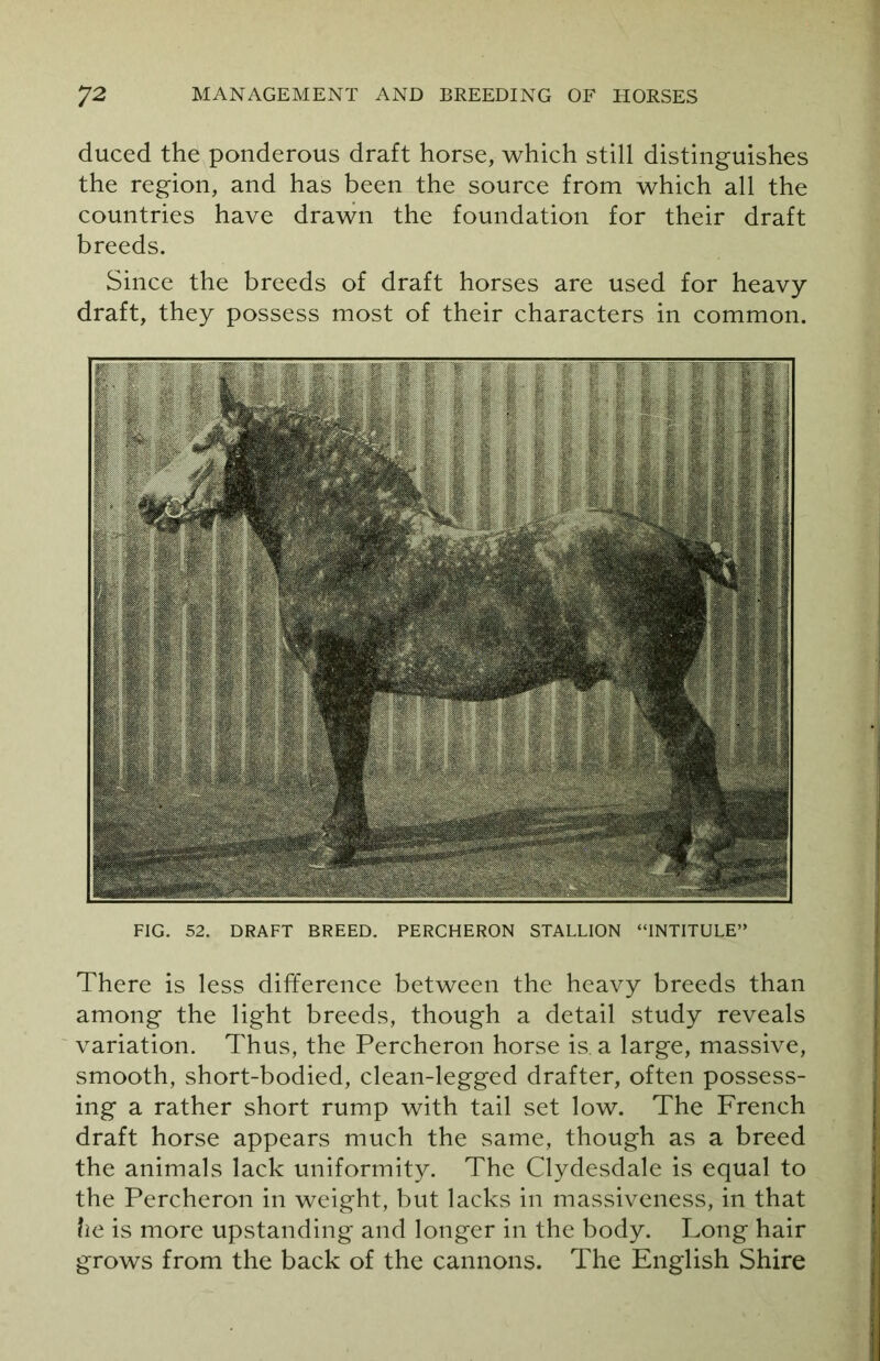 duced the ponderous draft horse, which still distinguishes the region, and has been the source from which all the countries have drawn the foundation for their draft breeds. Since the breeds of draft horses are used for heavy- draft, they possess most of their characters in common. FIG. 52. DRAFT BREED. PERCHERON STALLION “INTITULE” There is less difference between the heavy breeds than among the light breeds, though a detail study reveals variation. Thus, the Percheron horse is a large, massive, smooth, short-bodied, clean-legged drafter, often possess- ing a rather short rump with tail set low. The French draft horse appears much the same, though as a breed the animals lack uniformity. The Clydesdale is equal to the Percheron in weight, but lacks in massiveness, in that he is more upstanding and longer in the body. Long hair grows from the back of the cannons. The English Shire