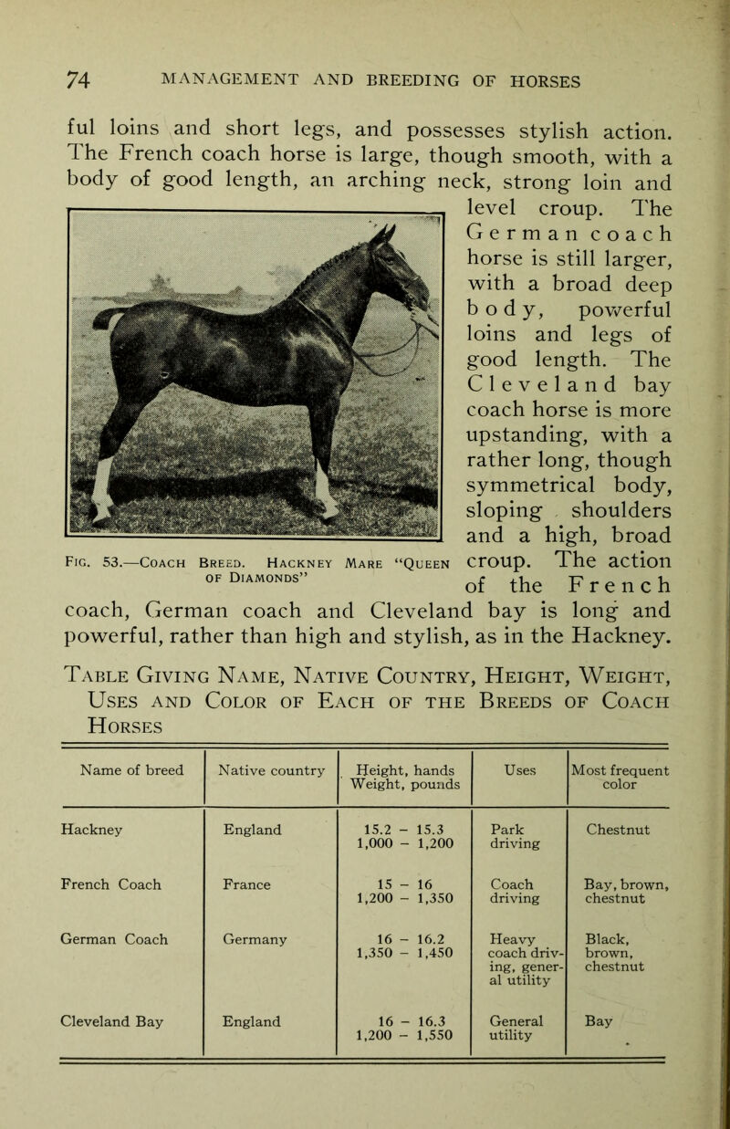 ful loins and short legs, and possesses stylish action. The French coach horse is large, though smooth, with a body of good length, an arching neck, strong loin and level croup. The German coach horse is still larger, with a broad deep body, powerful loins and legs of good length. The Cleveland bay coach horse is more upstanding, with a rather long, though symmetrical body, sloping shoulders and a high, broad Mare “Queen Croup. The action of the French coach, German coach and Cleveland bay is long and powerful, rather than high and stylish, as in the Hackney. Fig. 53.—Coach Breed. Hackney of Diamonds” Table Giving Name, Native Country, Height, Weight, Uses and Color of Each of the Breeds of Coach Horses Name of breed Native country Height, hands Weight, pounds Uses Most frequent color Hackney England 15.2 - 15.3 1,000 - 1,200 Park driving Chestnut French Coach France 15 - 16 1,200 - 1,350 Coach driving Bay, brown, chestnut German Coach Germany 16 - 16.2 1,350 - 1,450 Heavy coach driv- ing, gener- al utility Black, brown, chestnut 1,200 - 1,550 utility