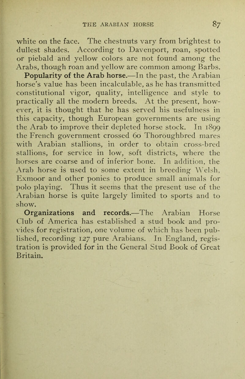 white on the face. The chestnuts vary from brightest to dullest shades. According to Davenport, roan, spotted or piebald and yellow colors are not found among the Arabs, though roan and yellow are common among Barbs. Popularity of the Arab horse.—In the past, the Arabian horse’s value has been incalculable, as he has transmitted constitutional vigor, quality, intelligence and style to practically all the modern breeds. At the present, how- ever, it is thought that he has served his usefulness in this capacity, though European governments are using the Arab to improve their depleted horse stock. In 1899 the French government crossed 60 Thoroughbred mares with Arabian stallions, in order to obtain cross-bred stallions, for service in low, soft districts, where the horses are coarse and of inferior bone. In addition, the Arab horse is used to some extent in breeding Welsh, Exmoor and other ponies to produce small animals for polo playing. Thus it seems that the present use of the Arabian horse is quite largely limited to sports and to show. Organizations and records.—The Arabian Horse Club of America has established a stud book and pro- vides for registration, one volume of which has been pub- lished, recording 127 pure Arabians. In England, regis- tration is provided for in the General Stud Book of Great Britain.