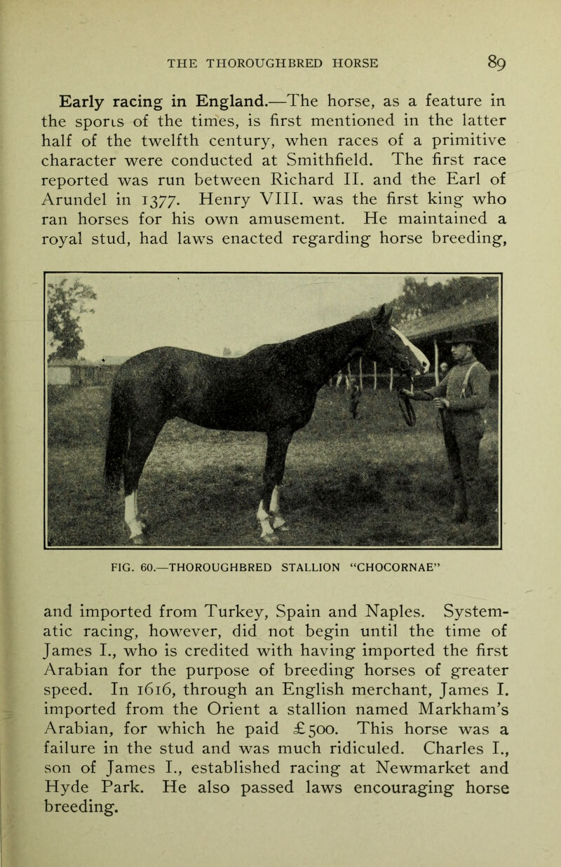 Early racing in England.—The horse, as a feature in the sports of the times, is first mentioned in the latter half of the twelfth century, when races of a primitive character were conducted at Smithfield. The first race reported was run between Richard II. and the Earl of Arundel in 1377. Henry VIII. was the first king who ran horses for his own amusement. He maintained a royal stud, had laws enacted regarding horse breeding, FIG. 60.—THOROUGHBRED STALLION “CHOCORNAE” and imported from Turkey, Spain and Naples. System- atic racing, however, did not begin until the time of James I., who is credited with having imported the first Arabian for the purpose of breeding horses of greater speed. In 1616, through an English merchant, James I. imported from the Orient a stallion named Markham’s Arabian, for which he paid £500. This horse was a failure in the stud and was much ridiculed. Charles I., son of James I., established racing at Newmarket and Hyde Park. He also passed laws encouraging horse breeding.