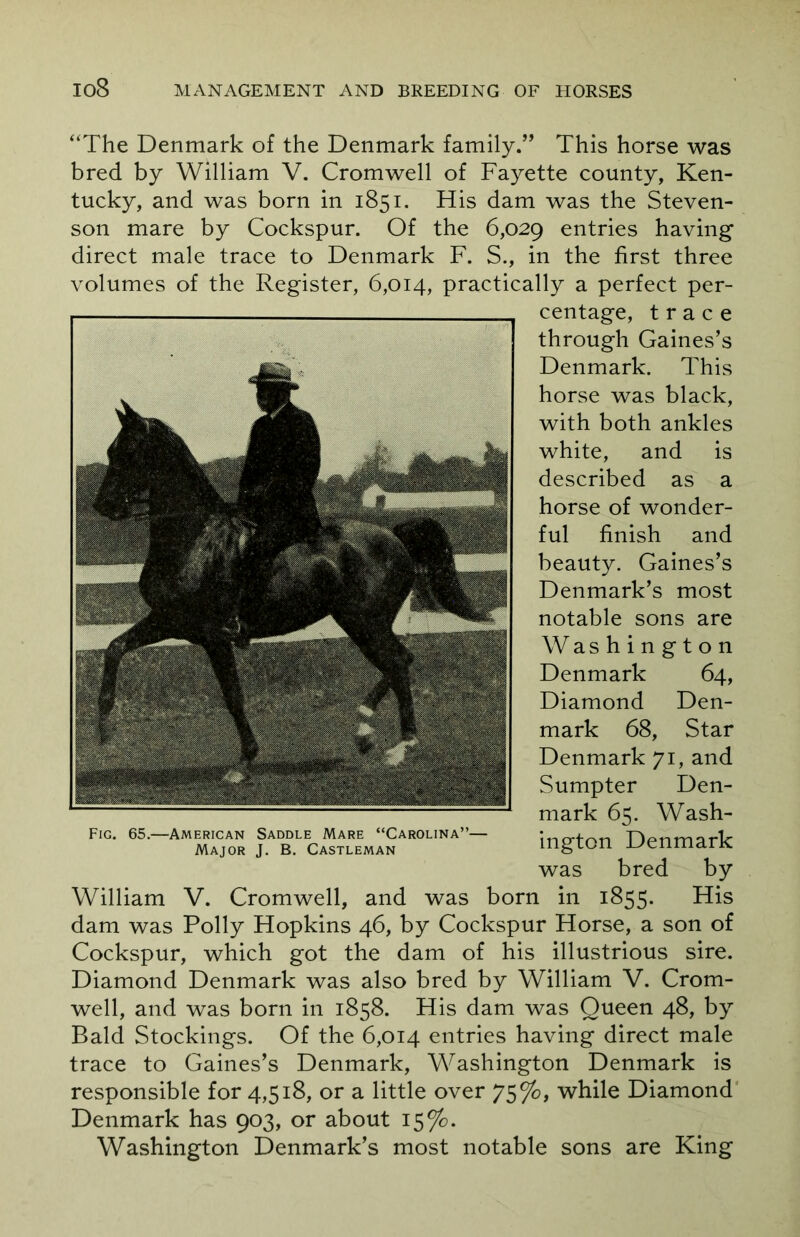 “The Denmark of the Denmark family.” This horse was bred by William V. Cromwell of Fayette county, Ken- tucky, and was born in 1851. His dam was the Steven- son mare by Cockspur. Of the 6,029 entries having' direct male trace to Denmark F. S., in the first three volumes of the Register, 6,014, practically a perfect per- centage, trace through Gaines’s Denmark. This horse was black, with both ankles white, and is described as a horse of wonder- ful finish and beauty. Gaines’s Denmark’s most notable sons are Washington Denmark 64, Diamond Den- mark 68, Star Denmark 71, and Sumpter Den- mark 65. Wash- ington Denmark was bred by William V. Cromwell, and was born in 1855. His dam was Polly Hopkins 46, by Cockspur Horse, a son of Cockspur, which got the dam of his illustrious sire. Diamond Denmark was also bred by William V. Crom- well, and was born in 1858. His dam was Queen 48, by Bald Stockings. Of the 6,014 entries having direct male trace to Gaines’s Denmark, Washington Denmark is responsible for 4,518, or a little over 75%, while Diamond Denmark has 903, or about 15%. Washington Denmark’s most notable sons are King