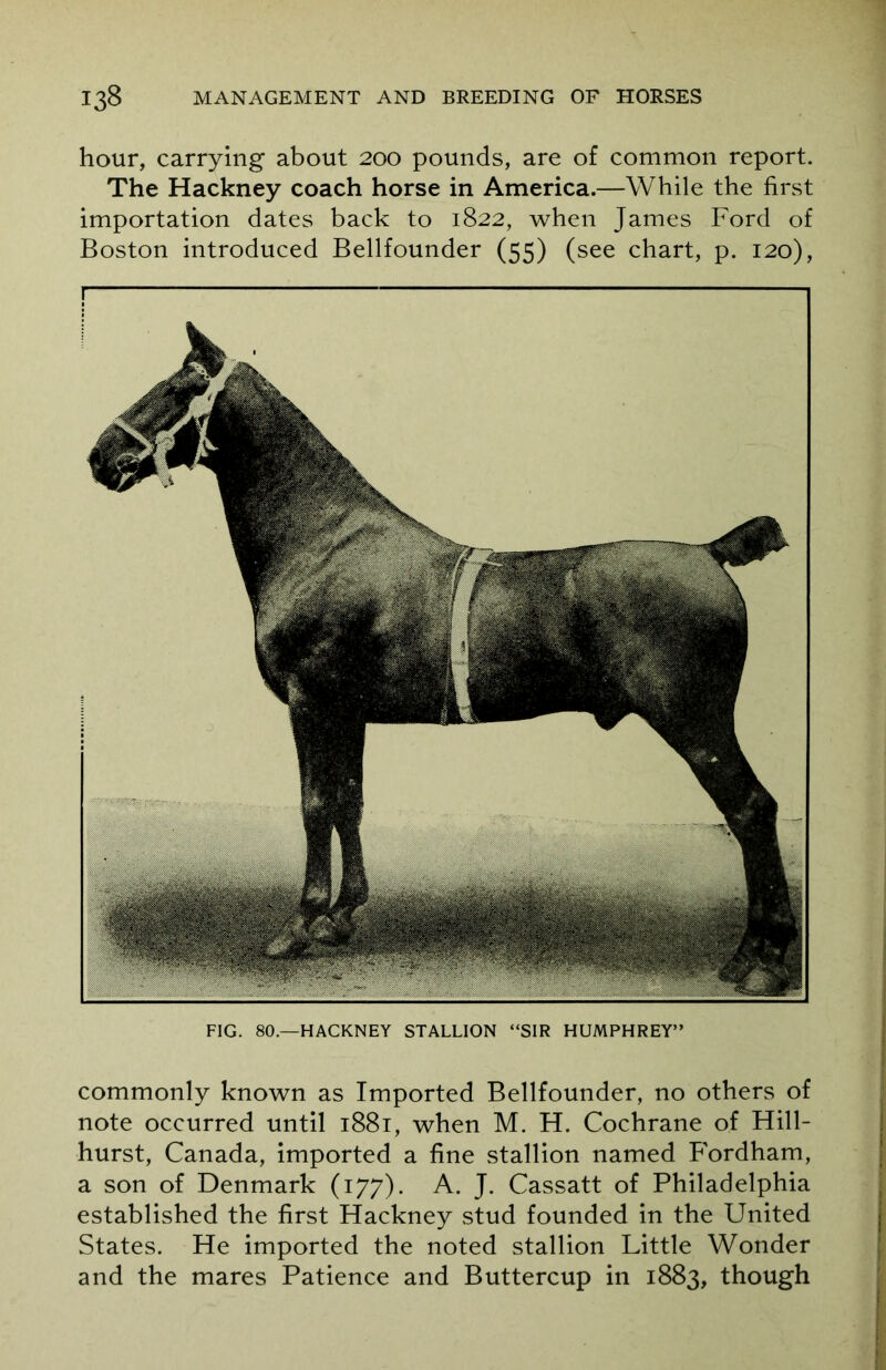 hour, carrying about 200 pounds, are of common report. The Hackney coach horse in America.—While the first importation dates back to 1822, when James Ford of Boston introduced Bellfounder (55) (see chart, p. 120), FIG. 80.—HACKNEY STALLION “SIR HUMPHREY” commonly known as Imported Bellfounder, no others of note occurred until 1881, when M. H. Cochrane of Hill- hurst, Canada, imported a fine stallion named Fordham, a son of Denmark (177). A. J. Cassatt of Philadelphia established the first Hackney stud founded in the United States. He imported the noted stallion Little Wonder and the mares Patience and Buttercup in 1883, though