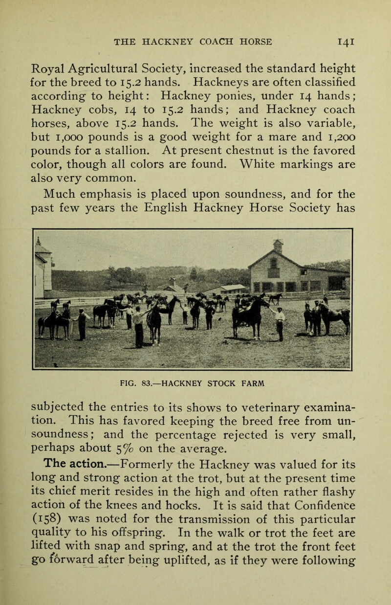 Royal Agricultural Society, increased the standard height for the breed to 15.2 hands. Hackneys are often classified according to height: Hackney ponies, under 14 hands; Hackney cobs, 14 to 15.2 hands; and Hackney coach horses, above 15.2 hands. The weight is also variable, but 1,000 pounds is a good weight for a mare and 1,200 pounds for a stallion. At present chestnut is the favored color, though all colors are found. White markings are also very common. Much emphasis is placed upon soundness, and for the past few years the English Hackney Horse Society has FIG. 83.—HACKNEY STOCK FARM subjected the entries to its shows to veterinary examina- tion. This has favored keeping the breed free from un- soundness; and the percentage rejected is very small, perhaps about 5% on the average. The action.—Formerly the Hackney was valued for its long and strong action at the trot, but at the present time its chief merit resides in the high and often rather flashy action of the knees and hocks. It is said that Confidence (158) was noted for the transmission of this particular quality to his offspring. In the walk or trot the feet are lifted with snap and spring, and at the trot the front feet go forward after being uplifted, as if they were following