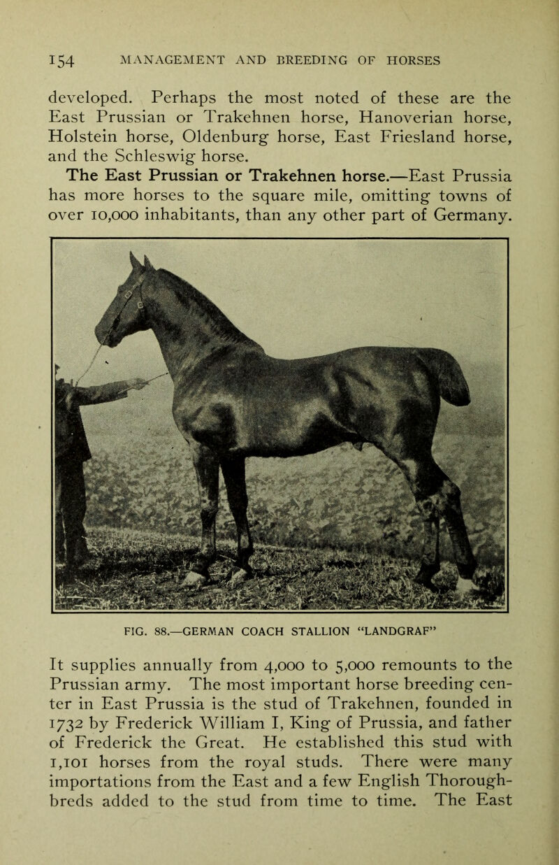 developed. Perhaps the most noted of these are the East Prussian or Trakehnen horse, Hanoverian horse, Holstein horse, Oldenburg horse, East Friesland horse, and the Schleswig horse. The East Prussian or Trakehnen horse.—East Prussia has more horses to the square mile, omitting towns of over 10,000 inhabitants, than any other part of Germany. FIG. 88.—GERMAN COACH STALLION “LANDGRAF” It supplies annually from 4,000 to 5,000 remounts to the Prussian army. The most important horse breeding cen- ter in East Prussia is the stud of Trakehnen, founded in 1732 by Frederick William I, King of Prussia, and father of Frederick the Great. He established this stud with 1,101 horses from the royal studs. There were many importations from the East and a few English Thorough- breds added to the stud from time to time. The East