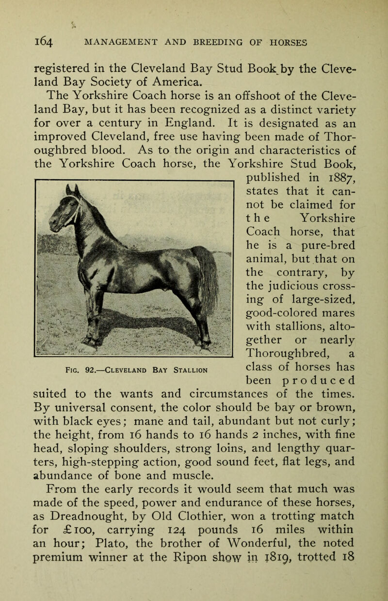 registered in the Cleveland Bay Stud Book by the Cleve- land Bay Society of America. The Yorkshire Coach horse is an offshoot of the Cleve- land Bay, but it has been recognized as a distinct variety for over a century in England. It is designated as an improved Cleveland, free use having been made of Thor- oughbred blood. As to the origin and characteristics of the Yorkshire Coach horse, the Yorkshire Stud Book, published in 1887, states that it can- not be claimed for the Yorkshire Coach horse, that he is a pure-bred animal, but that on the contrary, by the judicious cross- ing of large-sized, good-colored mares with stallions, alto- gether or nearly Thoroughbred, a class of horses has been produced suited to the wants and circumstances of the times. By universal consent, the color should be bay or brown, with black eyes; mane and tail, abundant but not curly; the height, from 16 hands to 16 hands 2 inches, with fine head, sloping shoulders, strong loins, and lengthy quar- ters, high-stepping action, good sound feet, flat legs, and abundance of bone and muscle. From the early records it would seem that much was made of the speed, power and endurance of these horses, as Dreadnought, by Old Clothier, won a trotting match for £100, carrying 124 pounds 16 miles within an hour; Plato, the brother of Wonderful, the noted premium winner at the Ripon show in 1819, trotted 18 Fig. 92.—Cleveland Bay Stallion