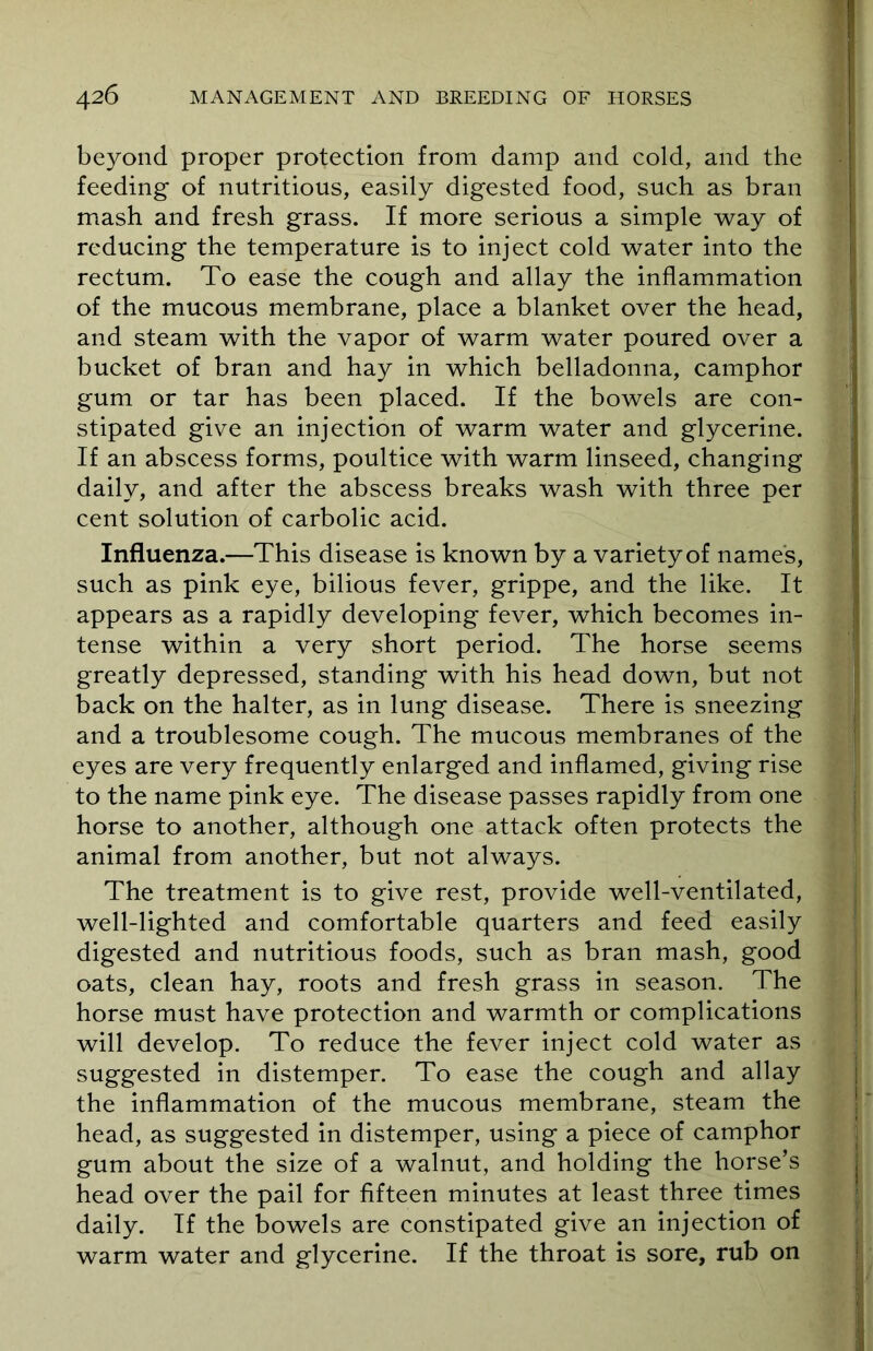 beyond proper protection from damp and cold, and the feeding of nutritious, easily digested food, such as bran mash and fresh grass. If more serious a simple way of reducing the temperature is to inject cold water into the rectum. To ease the cough and allay the inflammation of the mucous membrane, place a blanket over the head, and steam with the vapor of warm water poured over a bucket of bran and hay in which belladonna, camphor gum or tar has been placed. If the bowels are con- stipated give an injection of warm water and glycerine. If an abscess forms, poultice with warm linseed, changing daily, and after the abscess breaks wash with three per cent solution of carbolic acid. Influenza.—This disease is known by a variety of names, such as pink eye, bilious fever, grippe, and the like. It appears as a rapidly developing fever, which becomes in- tense within a very short period. The horse seems greatly depressed, standing with his head down, but not back on the halter, as in lung disease. There is sneezing and a troublesome cough. The mucous membranes of the eyes are very frequently enlarged and inflamed, giving rise to the name pink eye. The disease passes rapidly from one horse to another, although one attack often protects the animal from another, but not always. The treatment is to give rest, provide well-ventilated, well-lighted and comfortable quarters and feed easily digested and nutritious foods, such as bran mash, good oats, clean hay, roots and fresh grass in season. The horse must have protection and warmth or complications will develop. To reduce the fever inject cold water as suggested in distemper. To ease the cough and allay the inflammation of the mucous membrane, steam the head, as suggested in distemper, using a piece of camphor gum about the size of a walnut, and holding the horse’s head over the pail for fifteen minutes at least three times daily. If the bowels are constipated give an injection of warm water and glycerine. If the throat is sore, rub on