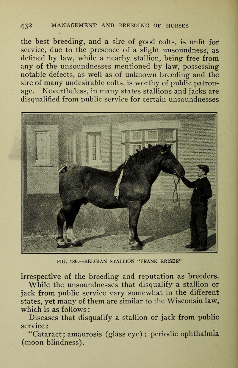 the best breeding, and a sire of good colts, is unfit for service, due to the presence of a slight unsoundness, as defined by law, while a nearby stallion, being free from any of the unsoundnesses mentioned by law, possessing notable defects, as well as of unknown breeding and the sire of many undesirable colts, is worthy of public patron- age. Nevertheless, in many states stallions and jacks are disqualified from public service for certain unsoundnesses FIG. 186.—BELGIAN STALLION “FRANK BRISER” irrespective of the breeding and reputation as breeders. While the unsoundnesses that disqualify a stallion or jack from public service vary somewhat in the different states, yet many of them are similar to the Wisconsin law, which is as follows: Diseases that disqualify a stallion or jack from public service: “Cataract; amaurosis (glass eye) ; periodic ophthalmia (moon blindness).