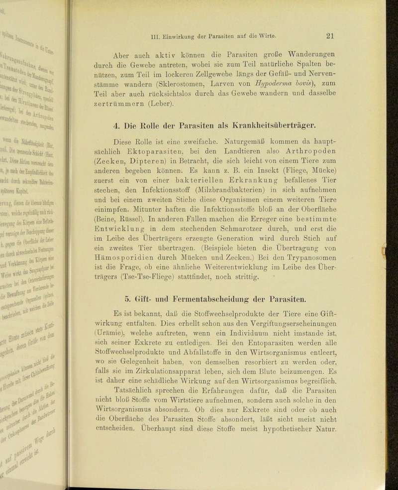 Aber auch aktiv können die Parasiten große Wanderungen durch die Gewebe antreten, wobei sie zum Teil natürliche Spalten be- nützen, zum Teil im lockeren Zellgewebe längs der Gefäß- und Nerven- stämme wandern (Skierostomen, Larven von Hypoderma bovis), zum Teil aber auch rücksichtslos durch das Gewebe wandern und dasselbe zertrümmern (Leber). 4. Die Rolle der Parasiten als Krankheitsüberträger. Diese Rolle ist eine zweifache. Naturgemäß kommen da haupt- sächlich Ektoparasiten, bei den Landtieren also Arthropoden (Zecken, Dipteren) in Betracht, die sich leicht von einem Tiere zum anderen begeben können. Es kann z. B. ein Insekt (Fliege, Mücke) zuerst ein von einer bakteriellen Erkrankung befallenes Tier stechen, den Infektionsstoff (Milzbrandbakterien) in sich aufnehmen und bei einem zweiten Stiche diese Organismen einem weiteren Tiere einimpfen. Mitunter haften die Infektionsstoffe bloß an der Oberfläche (Beine, Rüssel). In anderen Fällen machen die Erreger eine bestimmte Entwicklung in dem stechenden Schmarotzer durch, und erst die im Leibe des Überträgers erzeugte Generation wird durch Stich auf ein zweites Tier übertragen. (Beispiele bieten die Übertragung von Hämosporidien durch Mücken und Zecken.) Bei den Trypanosomen ist die Frage, ob eine ähnliche Weiterentwicklung im Leibe des Über- trägers (Tse-Tse-Fliege) stattfindet, noch strittig. 5. Gift- und Fermentabscheidung der Parasiten. Es ist bekannt, daß die Stoffwechselprodukte der Tiere eine Gift- wirkung entfalten. Dies erhellt schon aus den Vergiftungserscheinungen i Urämie), welche auftreten, wenn ein Individuum nicht imstande ist, sich seiner Exkrete zu entledigen. Bei den Entoparasiten werden alle Stoffwechselprodukte und Abfallstoffe in den Wirtsorganismus entleert, wo sie Gelegenheit haben, von demselben resorbiert zu werden oder, falls sie im Zirkulationsapparat leben, sich dem Blute beizumengen. Es ist daher eine schädliche Wirkung auf den Wirtsorganismus begreiflich. Tatsächlich sprechen die Erfahrungen dafür, daß die Parasiten nicht bloß Stoffe vom Wirtstiere aufnehmen, sondern auch solche in den Wirtsorganismus absondern. Ob dies nur Exkrete sind oder ob auch die Oberfläche des Parasiten Stoffe absondert, läßt sicht meist nicht entscheiden. Überhaupt sind diese Stoffe meist hypothetischer Natur.