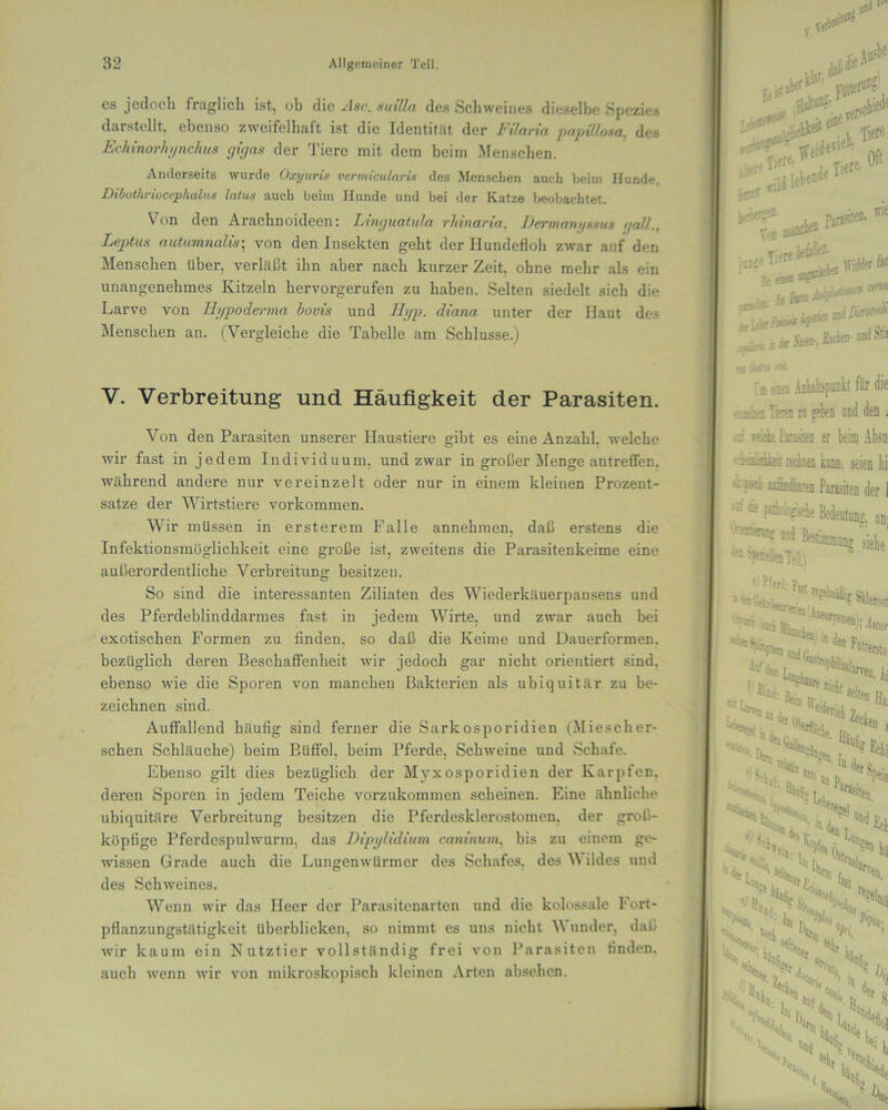 cs jedoch fraglich ist, ob die Air.. suilla des Schweine« dieselbe Spezies darstellt, ebenso zweifelhaft ist die Identität der Filaria papiüosa. des Echinorhynchus gigas der Tiere mit dem beim Menschen. Anderseits wurde Oxyuris vermiculari* des Menschen auch beim Hunde, Dibothriocephalus latus auch beim Hunde und bei der Katze beobachtet. Von den Arachnoideen: Linguatula rhinaria, Dermani/ssus gall., Leptus autumnalis; von den Insekten gebt der Hundefloh zwar auf den Menschen über, verläßt ihn aber nach kurzer Zeit, ohne mehr als ein unangenehmes Kitzeln hervorgerufen zu haben. Selten siedelt sich die Larve von Hypoderma bovis und Hyp. diana unter der Haut des Menschen an. (Vergleiche die Tabelle am Schlüsse.) V. Verbreitung und Häufigkeit der Parasiten. Von den Parasiten unserer Haustiere gibt es eine Anzahl, welche wir fast in jedem Individuum, und zwar in großer Menge antreffen, während andere nur vereinzelt oder nur in einem kleinen Prozent- sätze der Wirtstiere Vorkommen. Wir müssen in ersterem Falle annehmen, daß erstens die Infektionsmöglichkeit eine große ist, zweitens die Parasiteukeime eine außerordentliche Verbreitung besitzen. So sind die interessanten Ziliaten des Wiederkäuerpansens und des Pferdeblinddarmes fast in jedem Wirte, und zwar auch bei exotischen Formen zu finden, so daß die Keime und Dauerformen, bezüglich deren Beschaffenheit wir jedoch gar nicht orientiert sind, ebenso wie die Sporen von manchen Bakterien als ubiquitär zu be- zeichnen sind. Auffallend häufig sind ferner die Sarkosporidien (Miescher- schen Schläuche) beim Büffel, beim Pferde, Schweine und Schafe. Ebenso gilt dies bezüglich der Myxosporidien der Karpfen, deren Sporen in jedem Teiche vorzukommen scheinen. Eine ähnliche ubiquitäre Verbreitung besitzen die Pferdeskierostomen, der groß- köpfige Pferdespulwurm, das Dipylidium caninum. bis zu einem ge- wissen Grade auch die Lungenwürmer des Schafes, des V ildes und des Schweines. Wenn wir das Heer der Parasitenarten und die kolossale Fort- pflanzungstätigkeit überblicken, so nimmt es uns nicht V ander, daß wir kaum ein Nutztier vollständig frei von Parasiten finden, auch wenn wir von mikroskopisch kleinen Arten absehen. ^ Ho runC*1 l; . 1 Tiere sjftfv * * ,re Tier«-^eI T (lt Oft Xftt t •' v0cm .. ■ äs Xe®-, fiacben- nndo® t fjmi <ol ji efflffl ■ I«* a eiai amiäiisjjuijkt für die Tiefen n geben nnd den. ■■itbe Parasiten er beim Absu üiffi rechnen kami. seien lii Sütffldk® Parasiten dgf ] i^.Afbe ffljf nnd -ibTeil.) ig, an: ins siehe ;;;rE'al«%Stl»ä a*>«fcF ‘”****., effe,^da Hi.«r1 s Mi ln f - uTS ''*6 ,„>tä ‘S t„s«. i\^ in* >. ’ S & II) J l »er n
