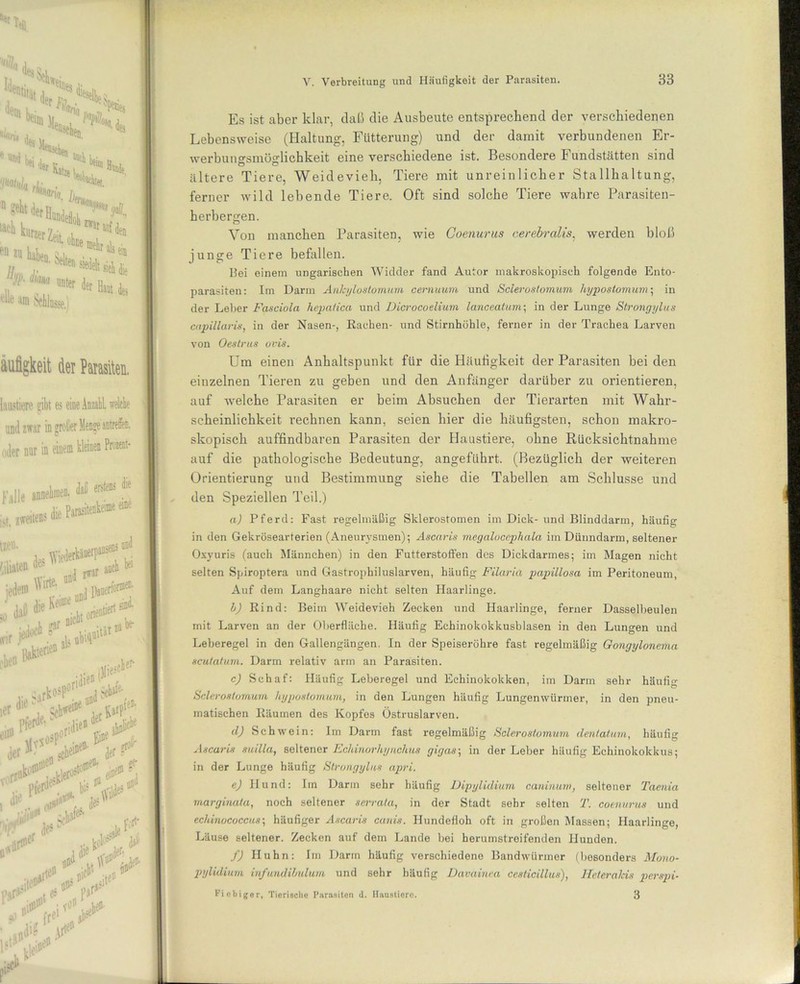 'S Wem dem St'a.Hs», krin. „ fv“«ä •**.*,>■* i; ir- *>* » i„ gäll k m m Schlüsse.) äufigkeit der Parasiten. latistiere gibt es eine Anzahl welebe uml zwar in grolier Menge antrelec. oder nur in einem kleinen Praent- r4]|e annelmien. daü er*115 ,te wir eben «r be- idie»! . pe^ j(jienier jj e# \frsosp°r n W der ^ „ #»e®' der *'< $W\ der ? r. M■ + * iii0.. *# >>>■ ,,#*” .(5' f./' Es ist aber klar, daß die Ausbeute entsprechend der verschiedenen Lebensweise (Haltung, Fütterung) und der damit verbundenen Er- werbungsmöglichkeit eine verschiedene ist. Besondere Fundstätten sind ältere Tiere, Weidevieh, Tiere mit unreinlicher Stallhaltung, ferner wild lebende Tiere. Oft sind solche Tiere wahre Parasiten- herbergen. Von manchen Parasiten, wie Coenurus cerebralis, werden bloß junge Tiere befallen. Bei einem ungarischen Widder fand Autor makroskopisch folgende Ento- parasiten: Im Darm Anhylostomum cernuum und Scierostomum hypostomum; in der Leber Fasciola hepaiica und Dicrocoelium lanceatum; in der Lunge Strongylus capillaris, in der Nasen-, Rachen- und Stirnhöhle, ferner in der Trachea Larven von Oestrus ovis. Um einen Anhaltspunkt für die Häufigkeit der Parasiten bei den einzelnen Tieren zu geben und den Anfänger darüber zu orientieren, auf welche Parasiten er beim Absuchen der Tierarten mit Wahr- scheinlichkeit rechnen kann, seien hier die häufigsten, schon makro- skopisch auffindbaren Parasiten der Haustiere, ohne Rücksichtnahme auf die pathologische Bedeutung, angeführt. (Bezüglich der weiteren Orientierung und Bestimmung siehe die Tabellen am Schlüsse und den Speziellen Teil.) a) Pferd: Fast regelmäßig Skierostomen im Dick- und Blinddarm, häufig in den Gekrösearterien (Aneurysmen); Ascaris megaloccphala im Dünndarm, seltener Oxyuris (auch Männchen) in den Futterstoffen des Dickdarmes; im Magen nicht selten Spiroptera und Gastrophiluslarven, häufig Filariü papillosa im Peritoneum, Auf dem Langhaare nicht selten Haarlinge. I) Rind: Beim Weidevieh Zecken und Haarlinge, ferner Dasselbeulen mit Larven an der Oberfläche. Häufig Echinokokkusblasen in den Lungen und Leberegel in den Gallengängen. In der Speiseröhre fast regelmäßig Gongylonema scutatum. Darm relativ arm an Parasiten. c) Schaf: Häufig Leberegel und Echinokokken, im Darm sehr häufig Scierostomum hypostomum, in den Lungen häufig Lungenwürmer, in den pneu- matischen Räumen des Kopfes Östruslarven. d) Schwein: Im Darm fast regelmäßig Scierostomum dentatum, häufig Ascaris suilla, seltener Echinorhynchus gigas; in der Leber häufig Echinokokkus; in der Lunge häufig Strongylus apri. e) Hund: Im Darm sehr häufig Dipylidium caninum, seltener Taenia marginata, noch seltener serrula, in der Stadt sehr selten T. coenurus und echinococcns\ häufiger Ascaris canis. Hundefloh oft in großen Massen; Haarlinge, Läuse seltener. Zecken auf dem Lande bei herumstreifenden Hunden. f) Huhn: Im Darm häufig verschiedene Bandwürmer (besonders Mono- pylidium infuiulihulum und sehr häufig Davainea cesticillus), Hcteralcis perspi- Fiebiger, Tierische Parasiten d. Haustiere. 3